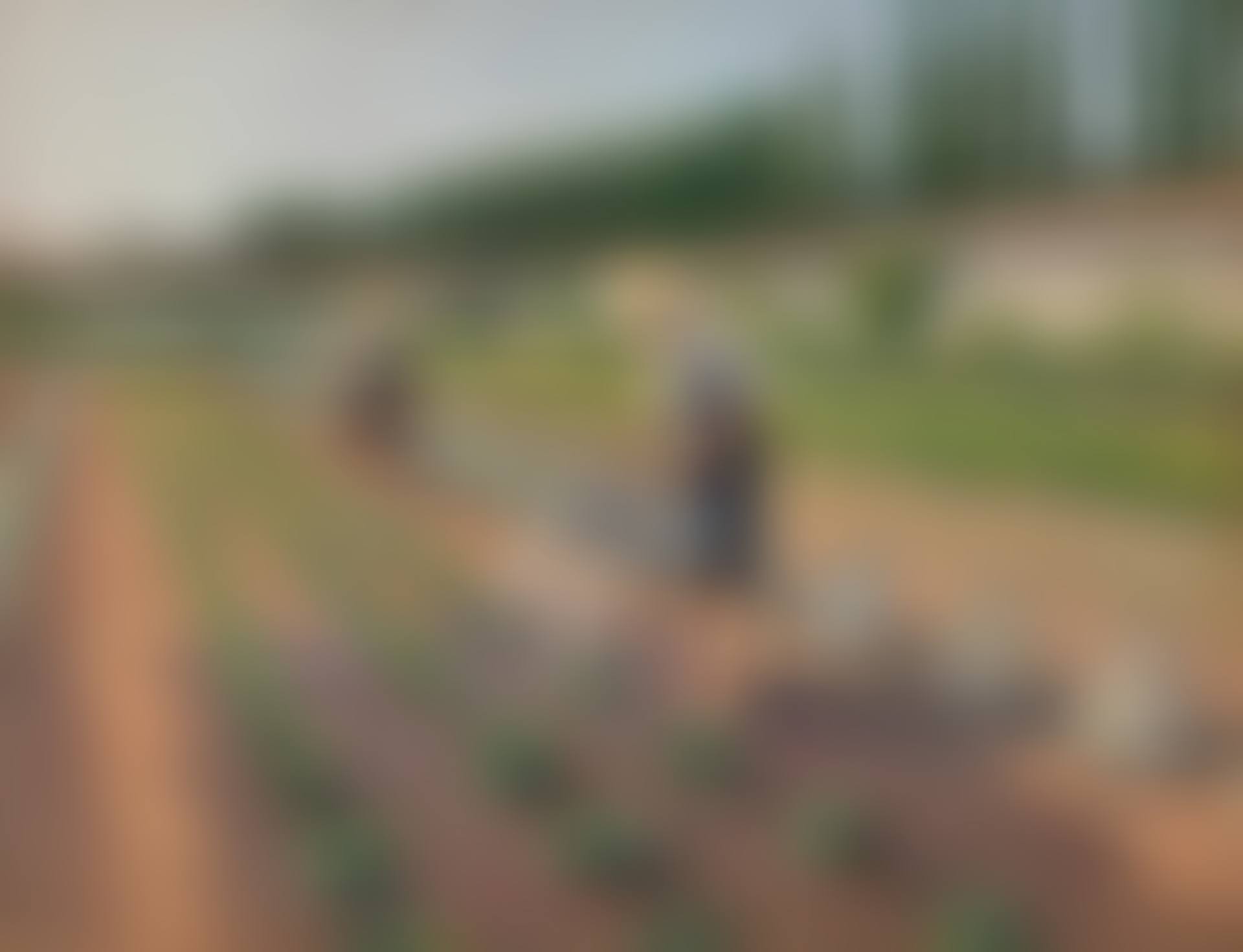 Les Jardiniers (preview)