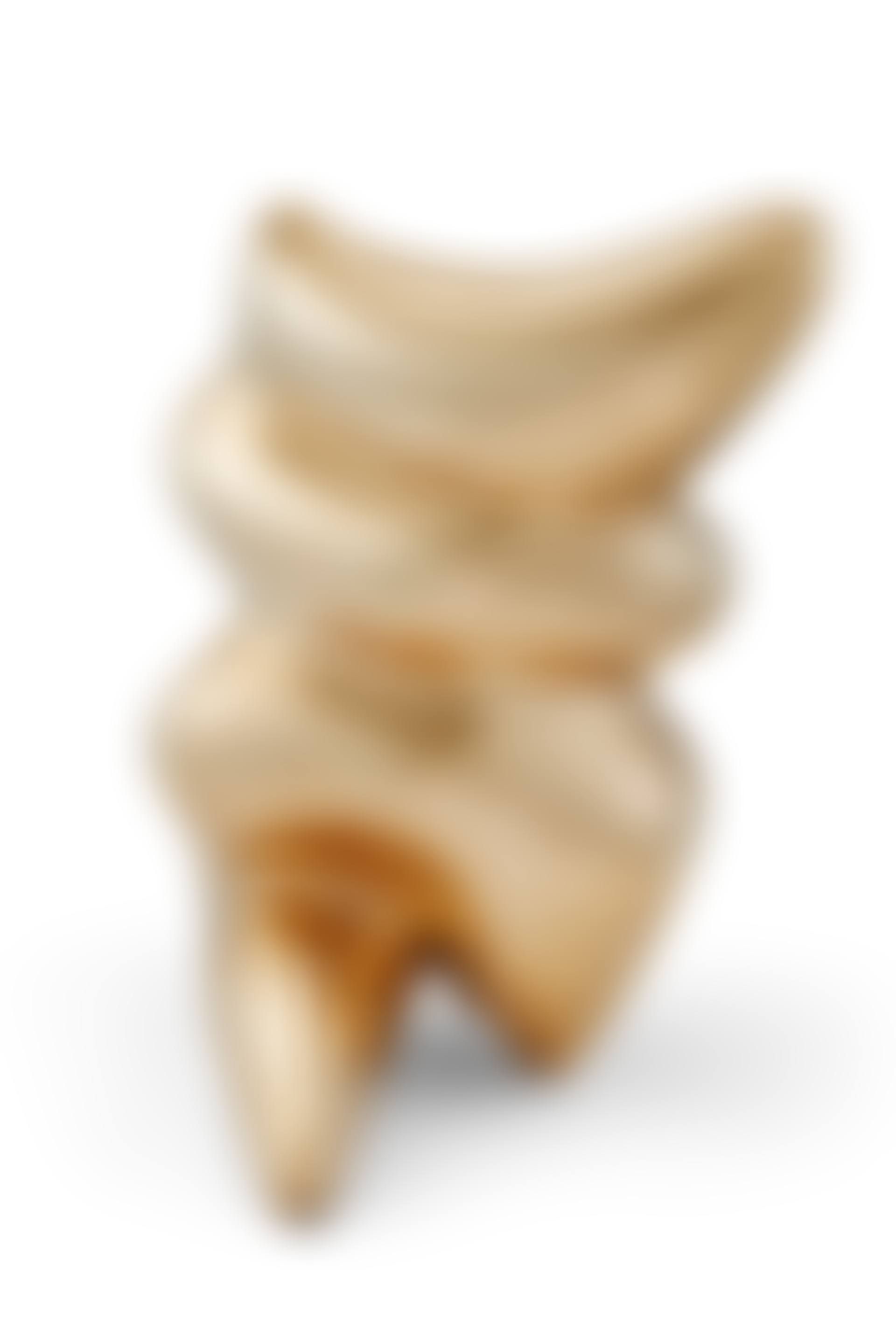Torse préadamite (preview)
