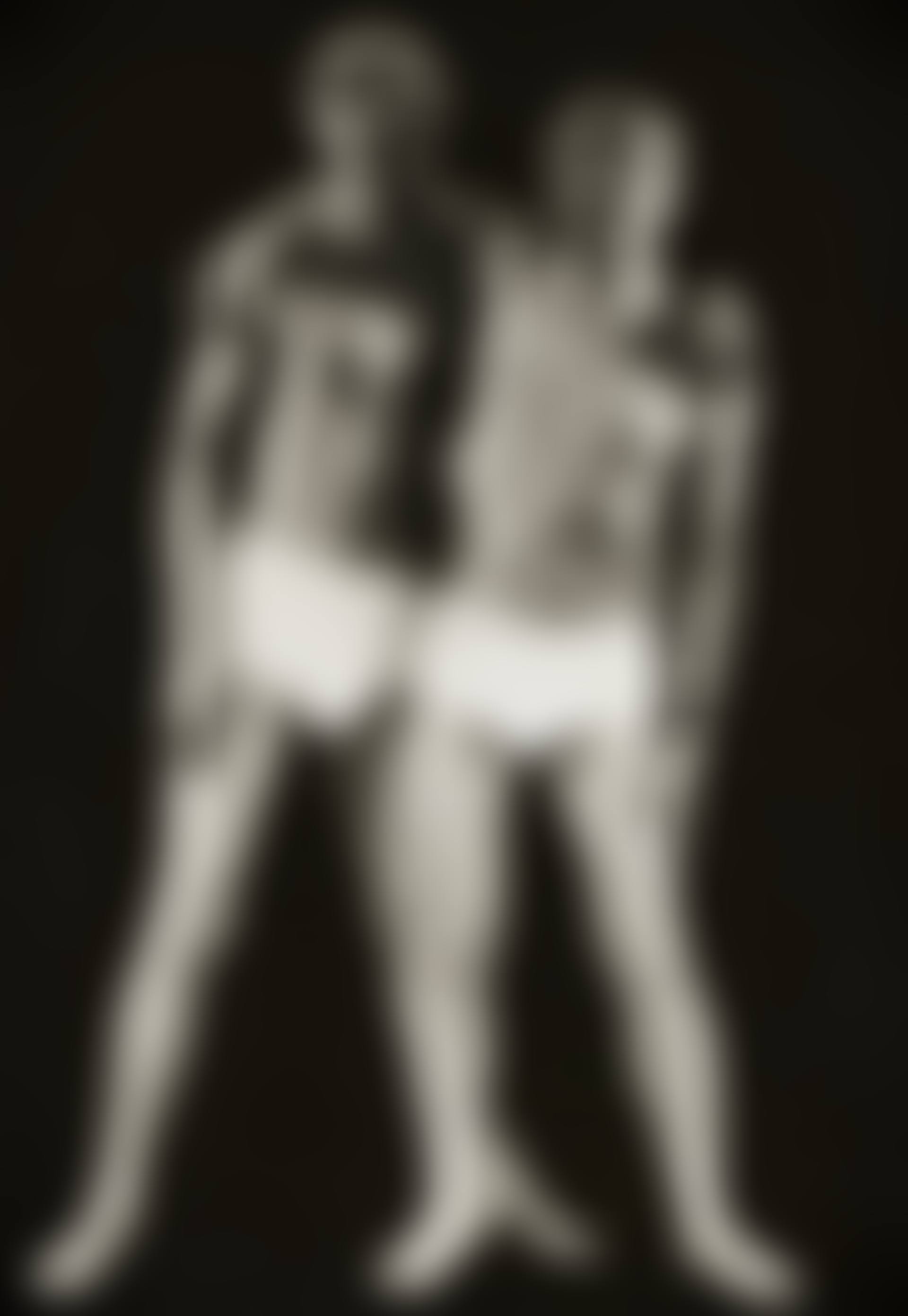 Self Portrait (preview)