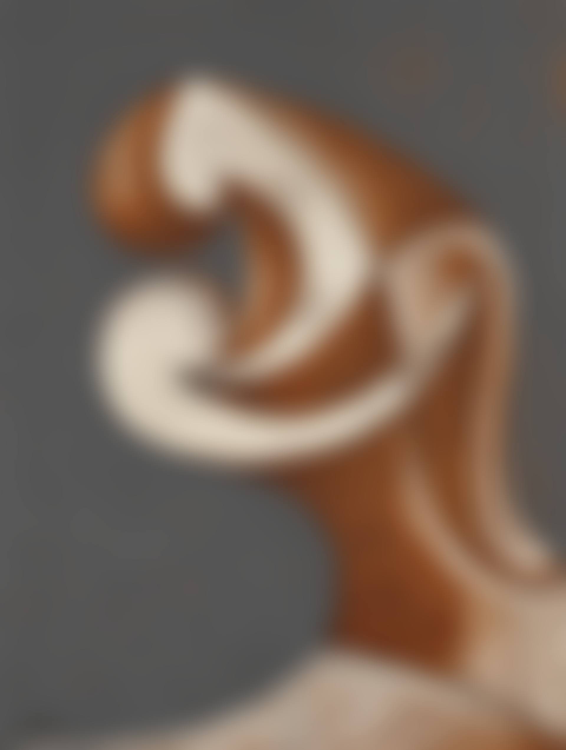 Profil (preview)