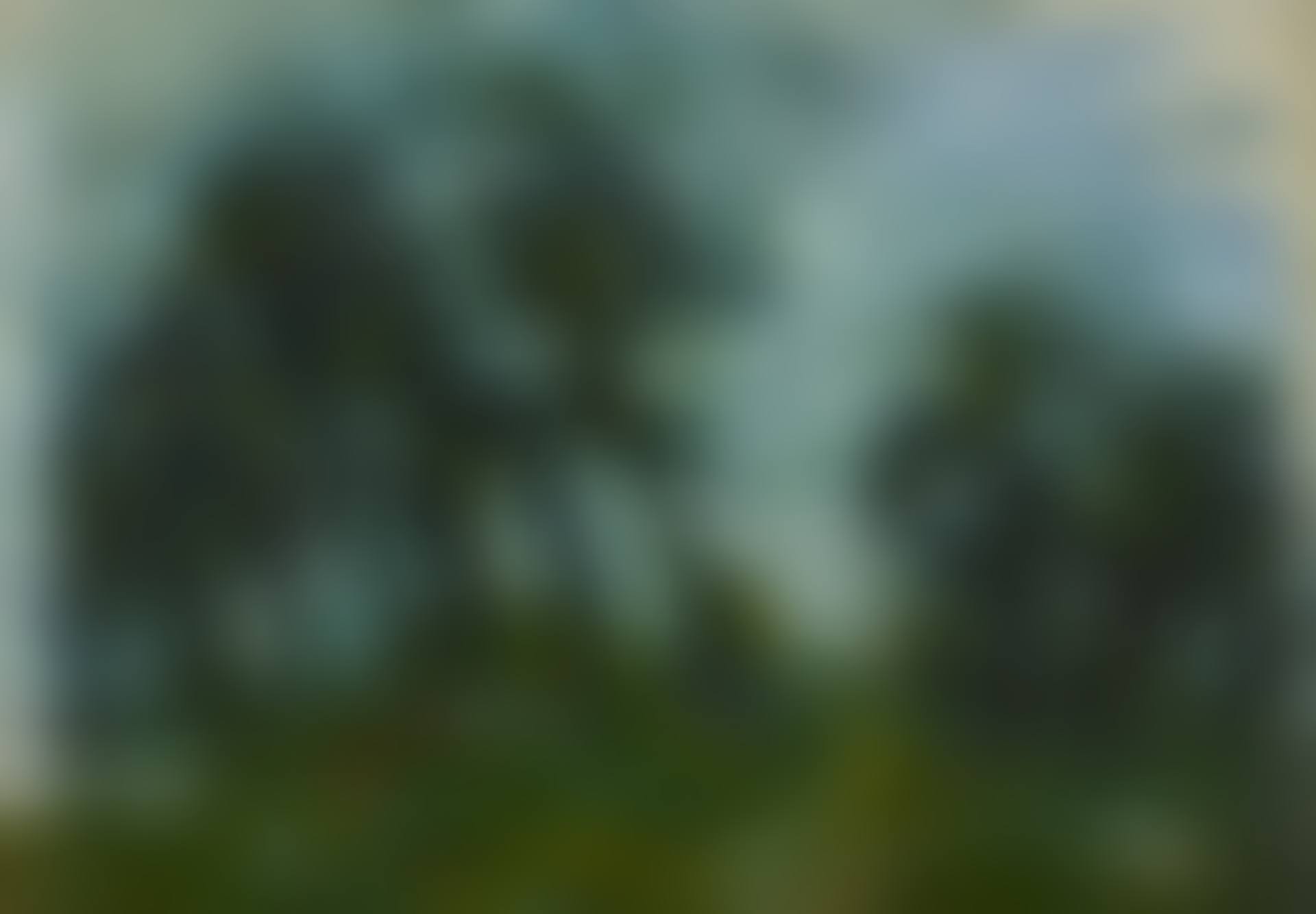Paysage (preview)
