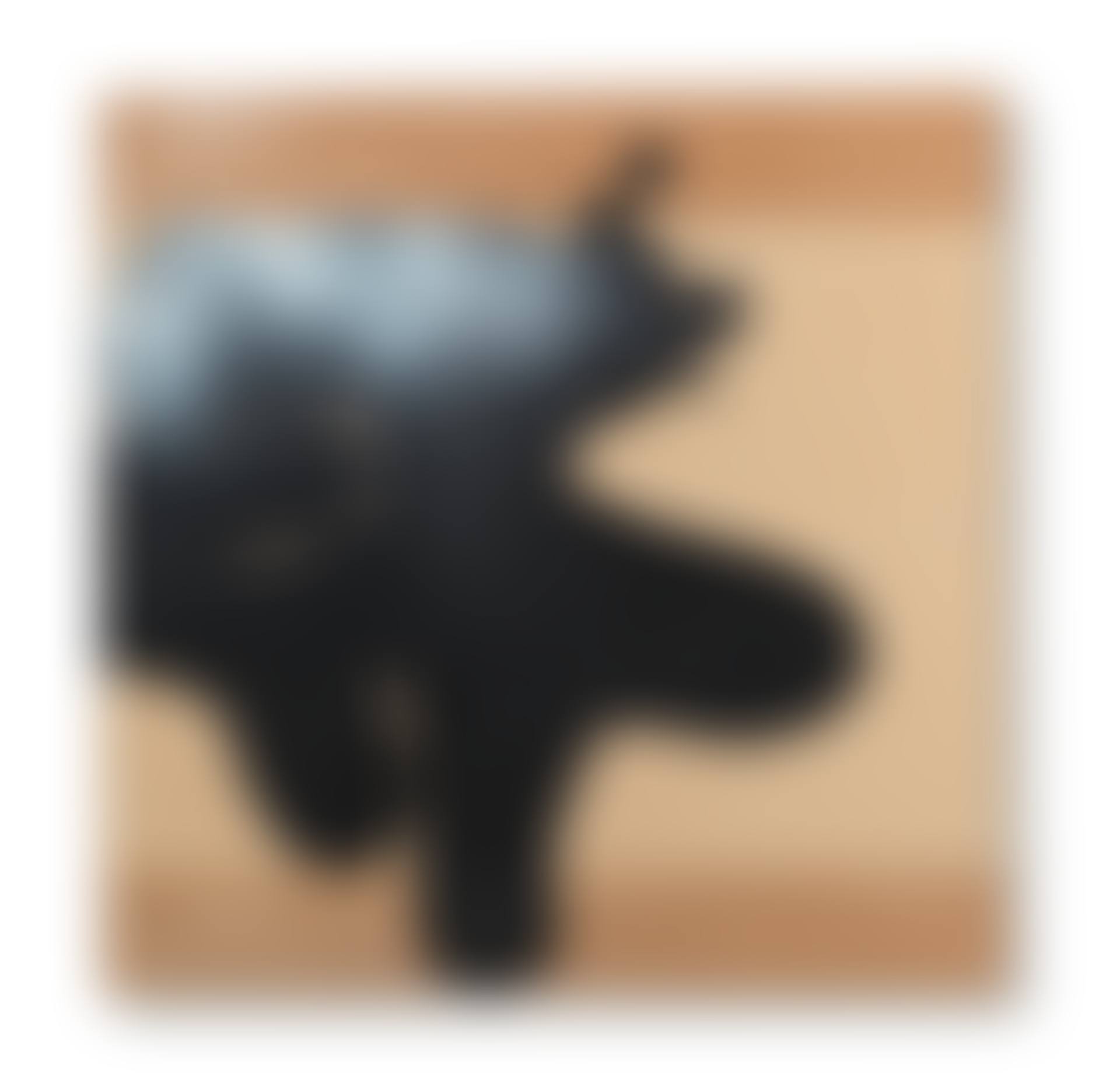 Black Image  (preview)