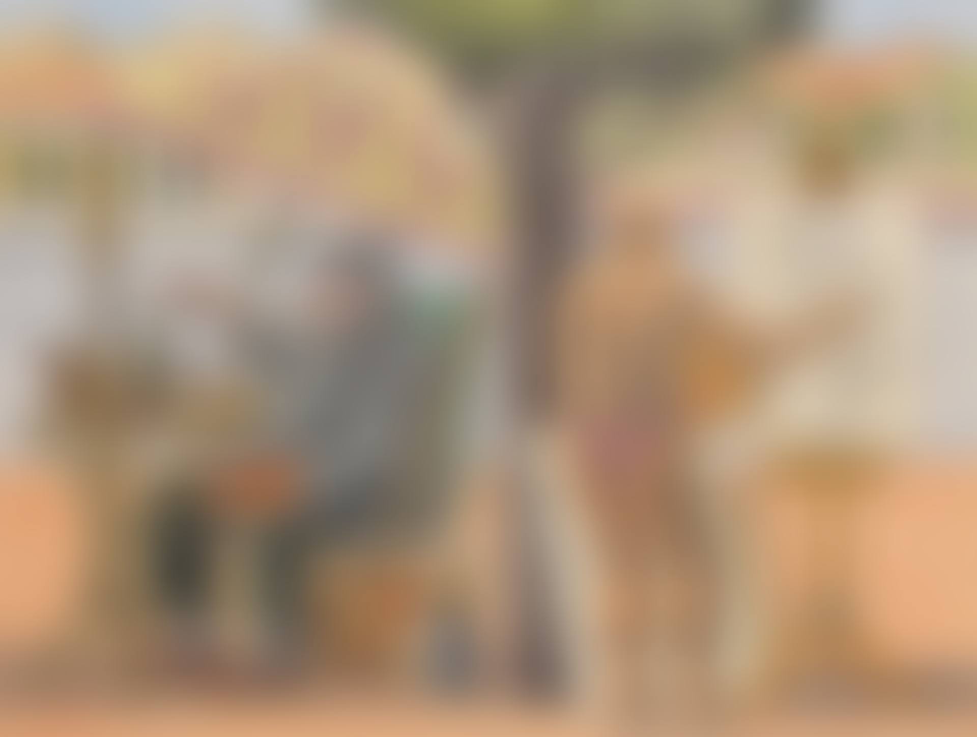 The Amateur and The Professional  (preview)