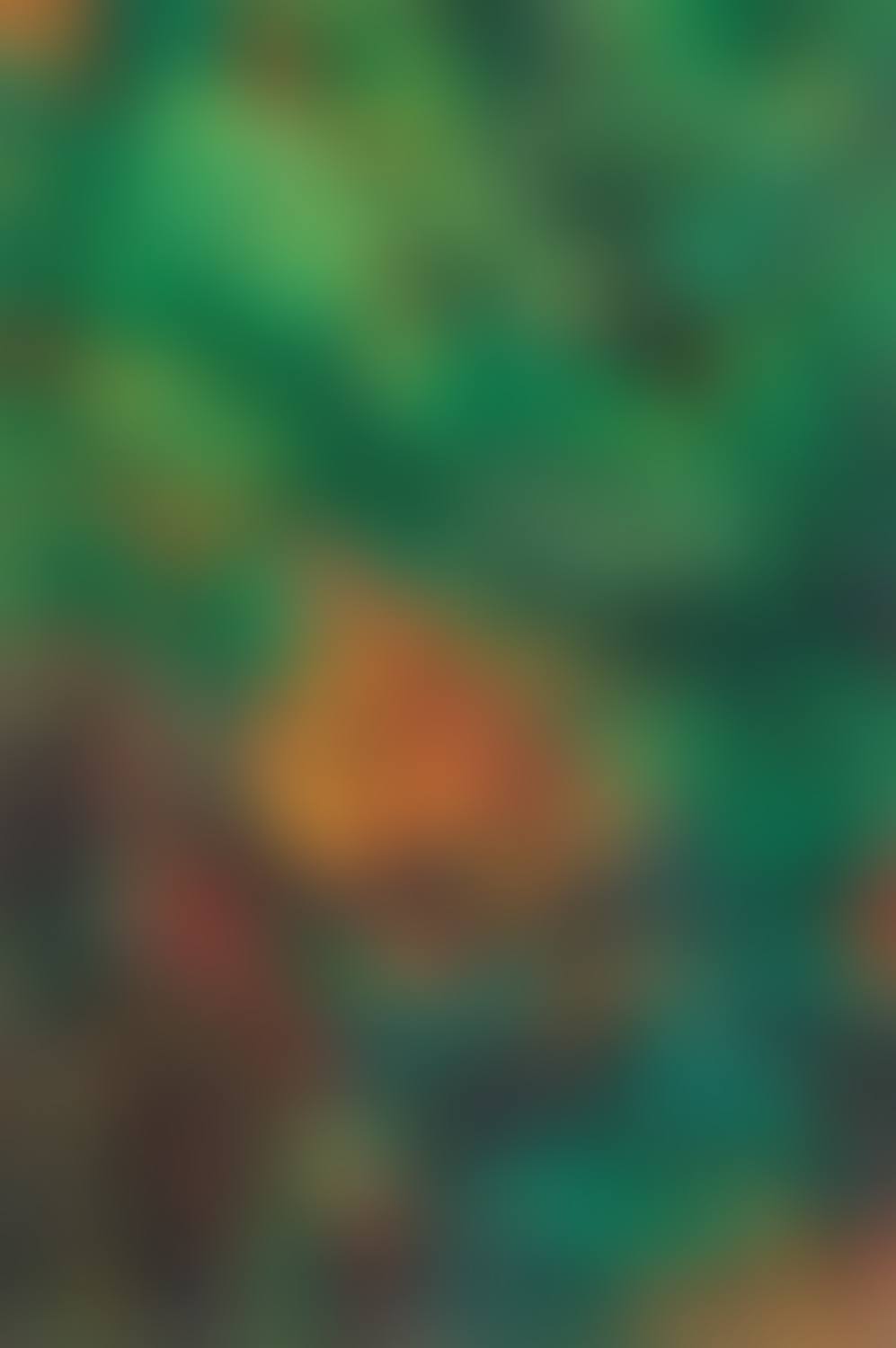 Landscape (preview)