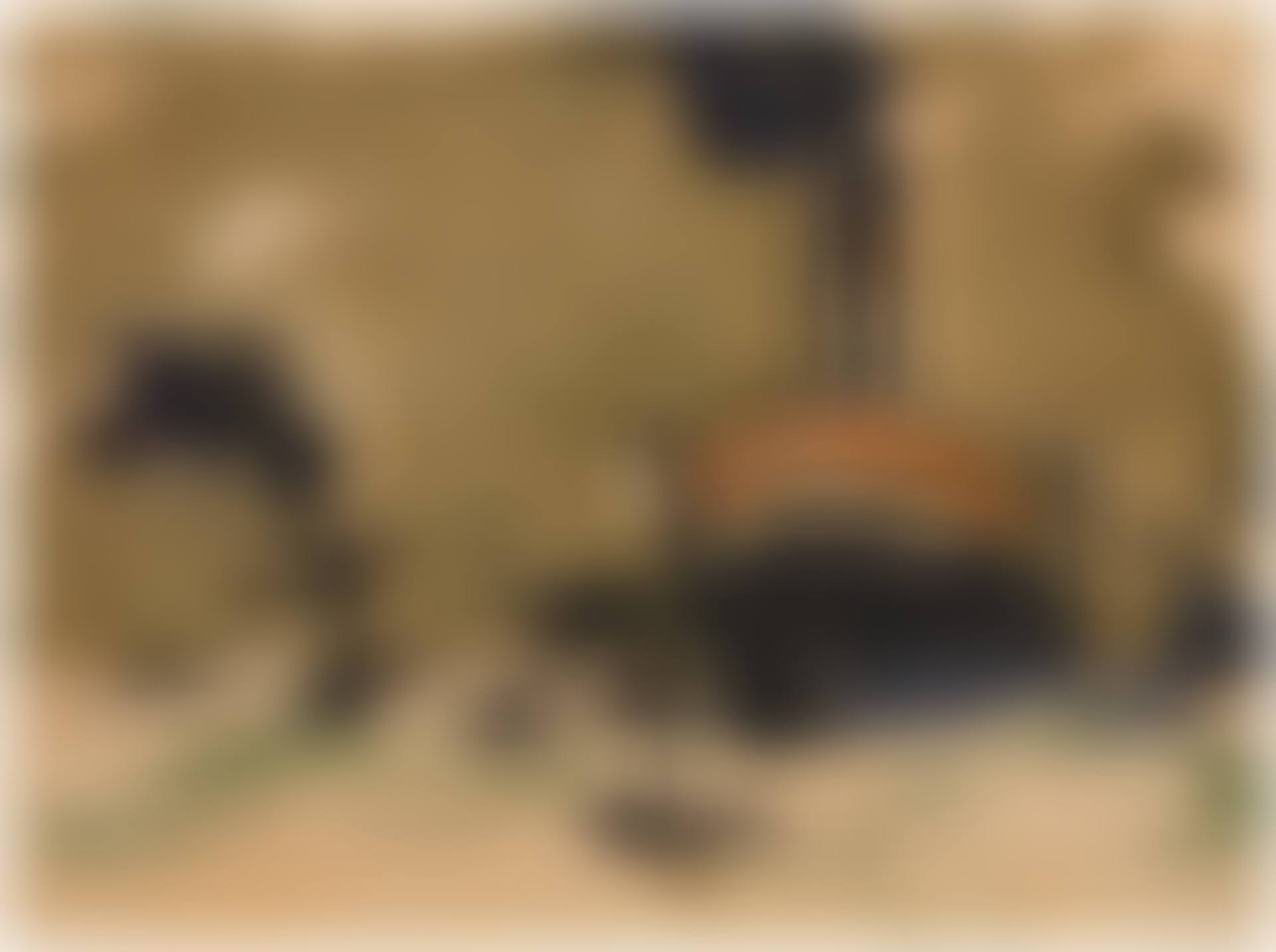Grosse Dampfer (Big Steamers) (preview)
