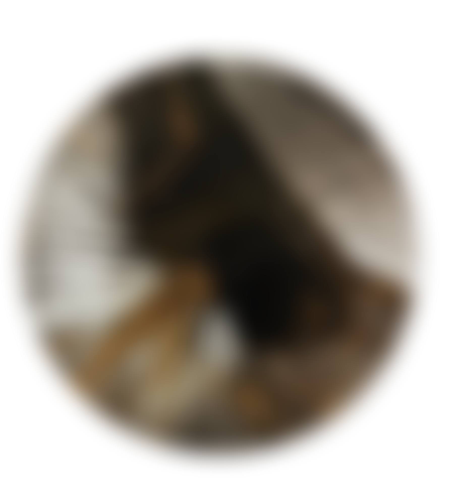 Beautiful Magnificent Cantankerous Yet Generous Painting (with Diamonds) (preview)