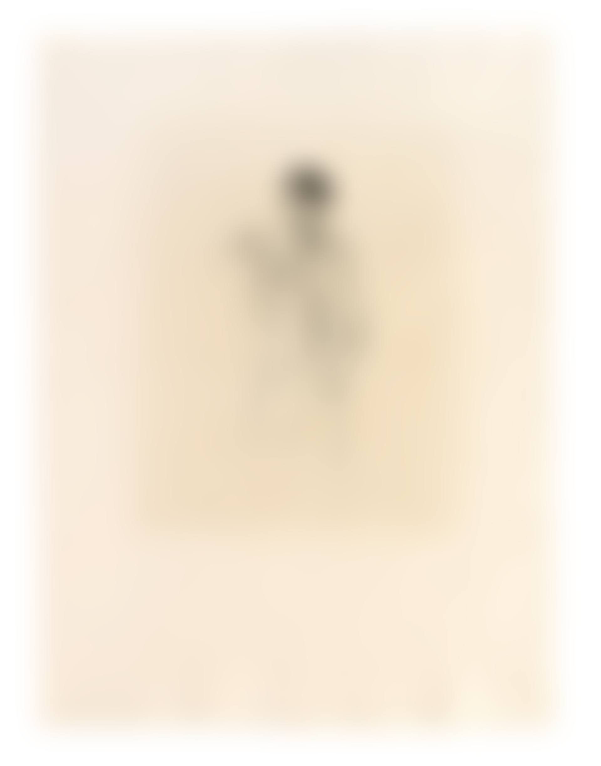 Geiger Andreas Weissgerber (preview)
