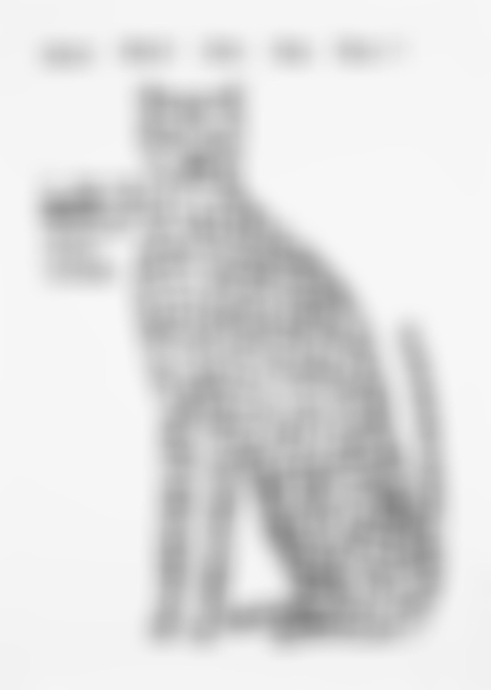 Untitled (How Fast Can You Run?), from 'Animals & Existentialism' (preview)
