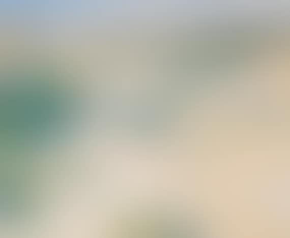 Dünenlandschaft (preview)