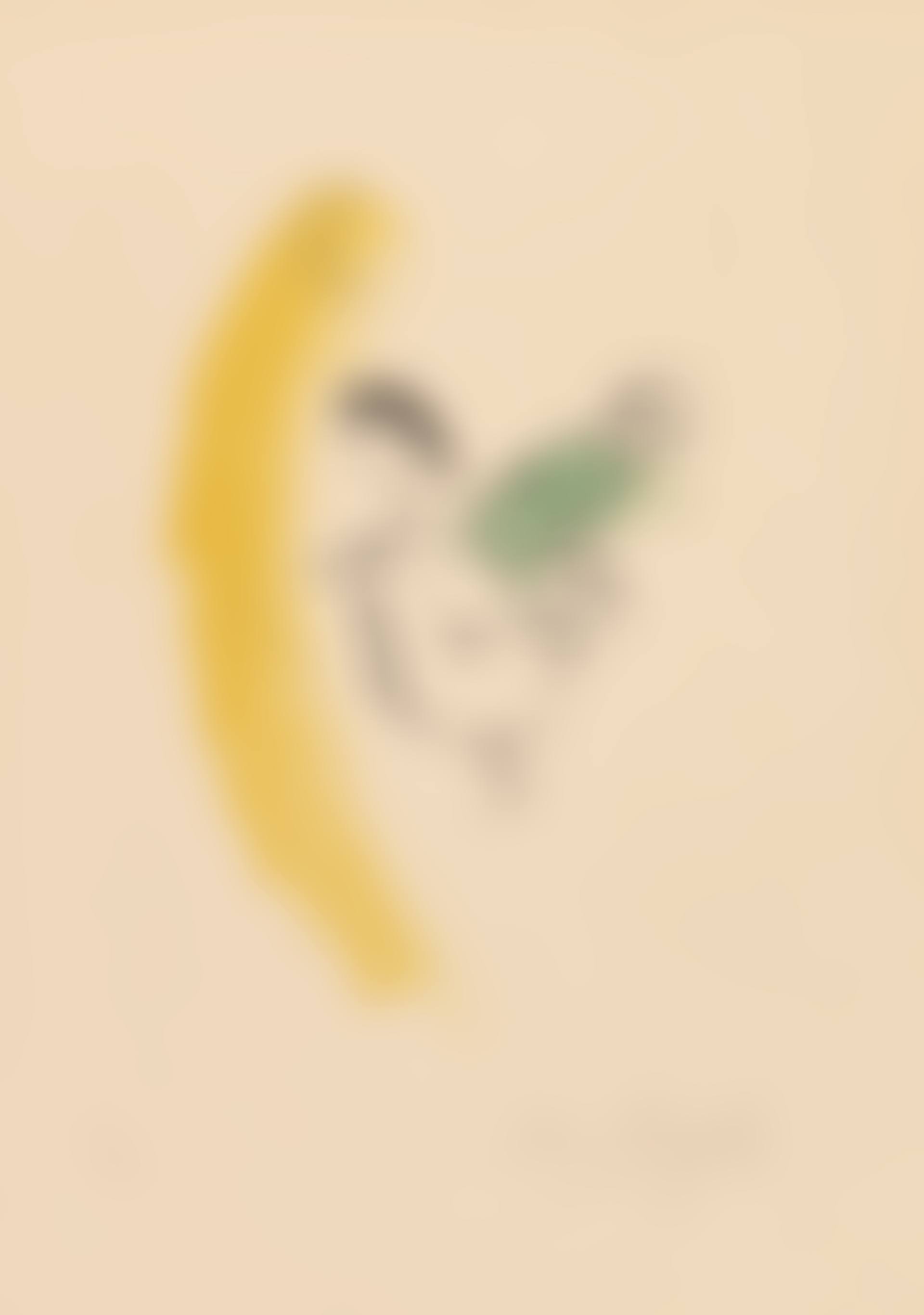Le coq au croissant (preview)