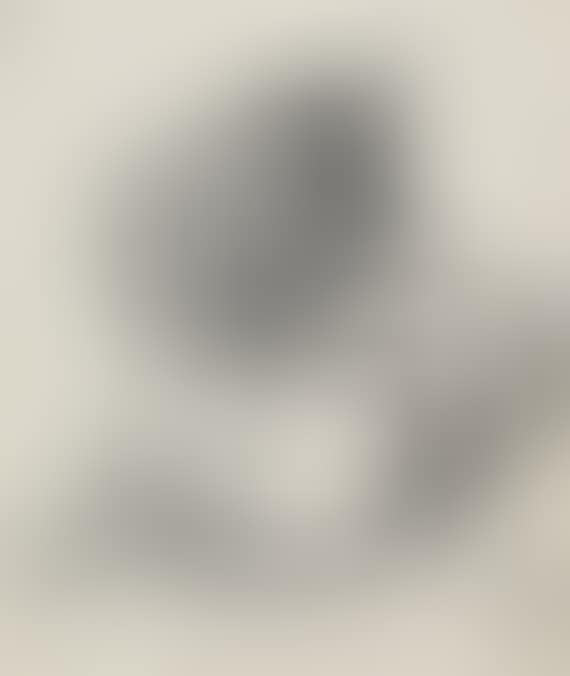Buchstabe S. (preview)