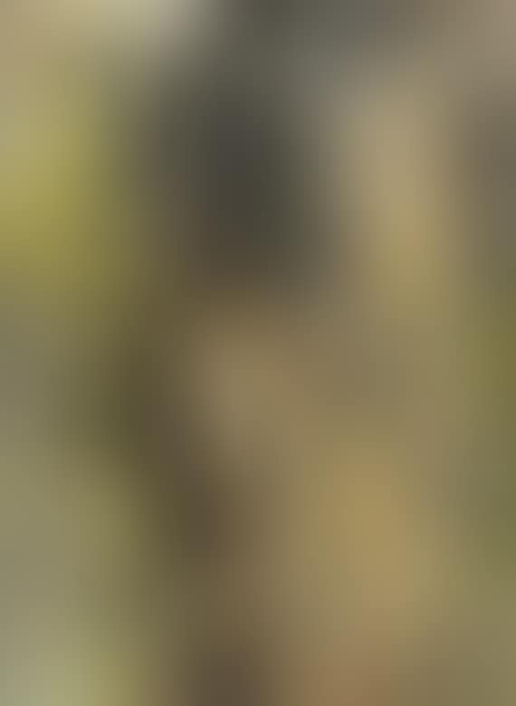 Ohne Titel (preview)
