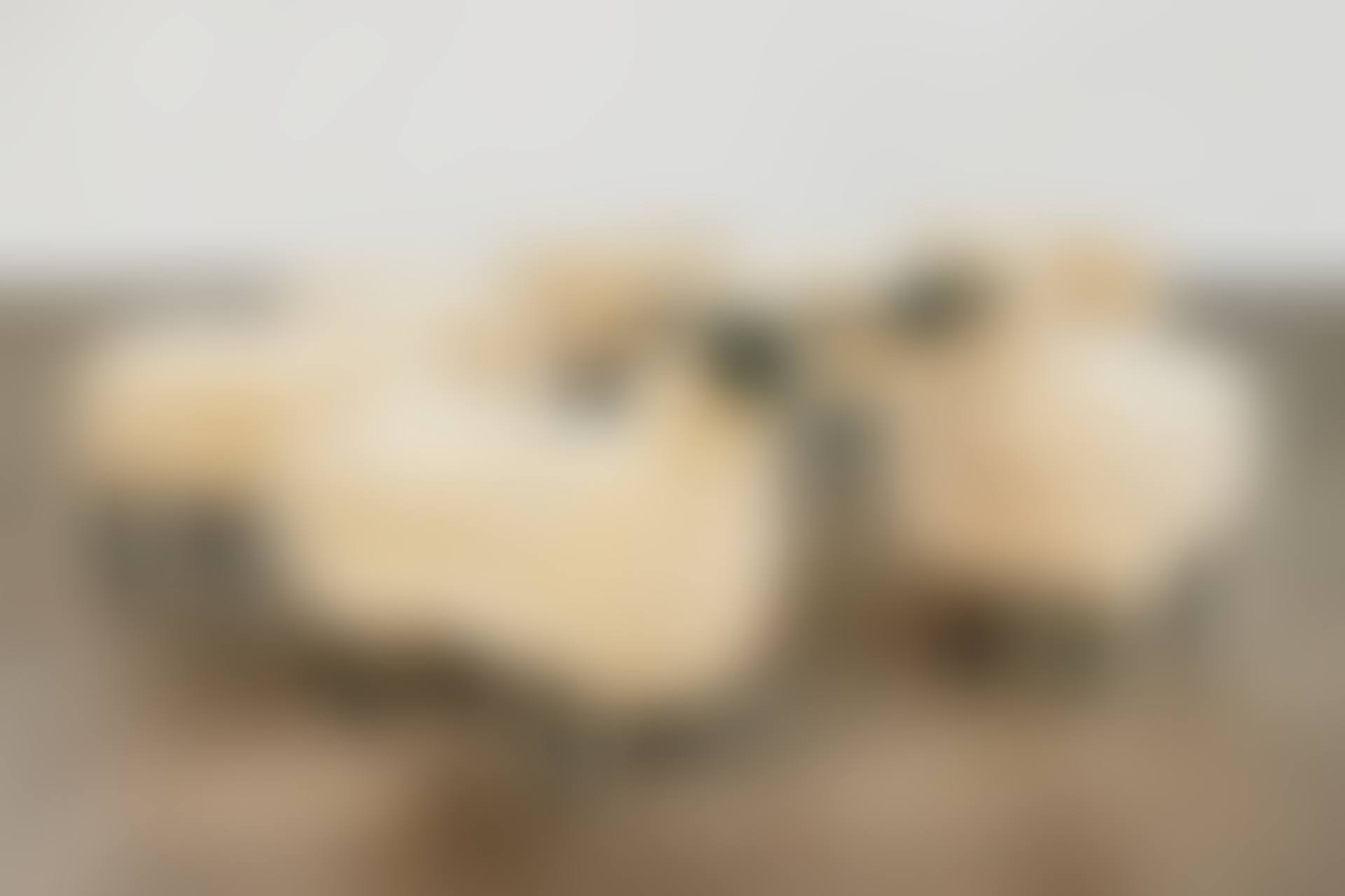 Troupeau de Moutons de Laine (preview)