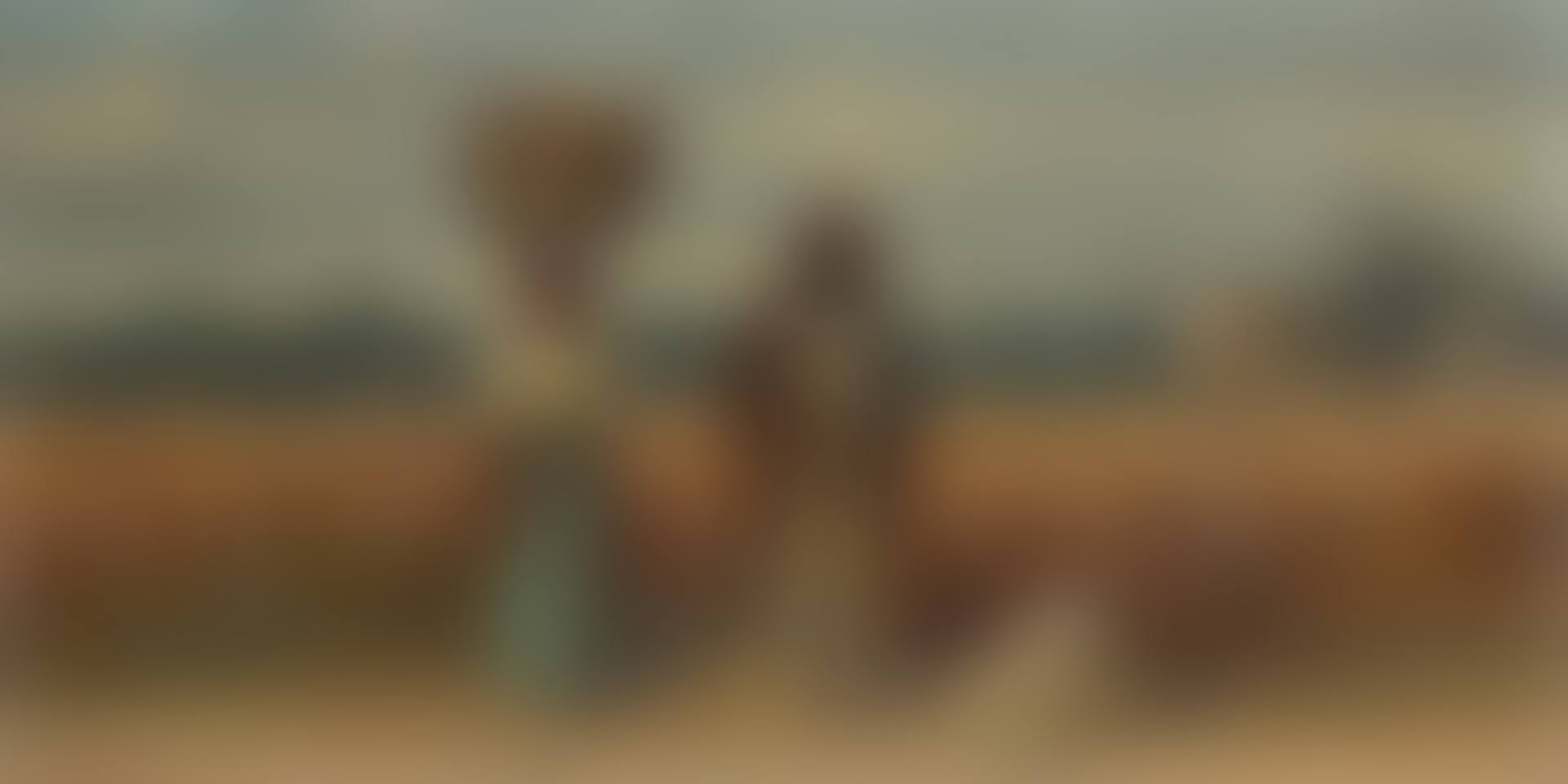 The Cotton Pickers (preview)