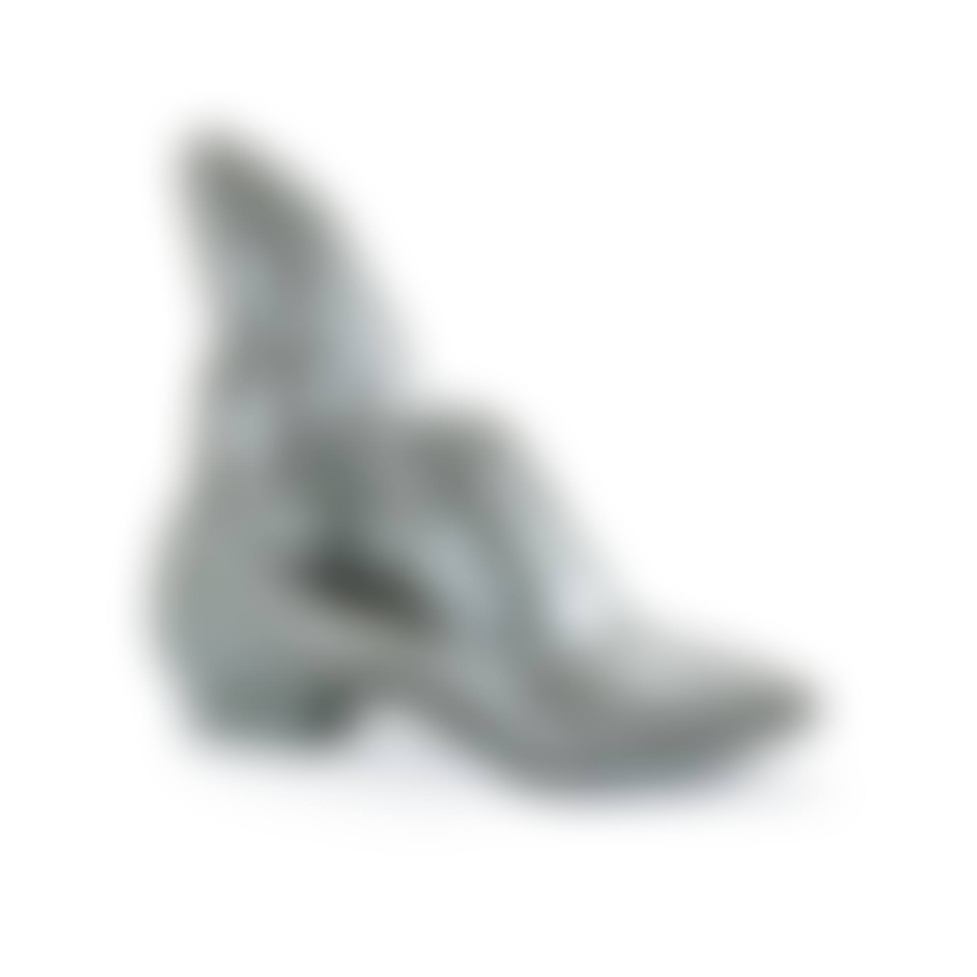 Shoe  (preview)