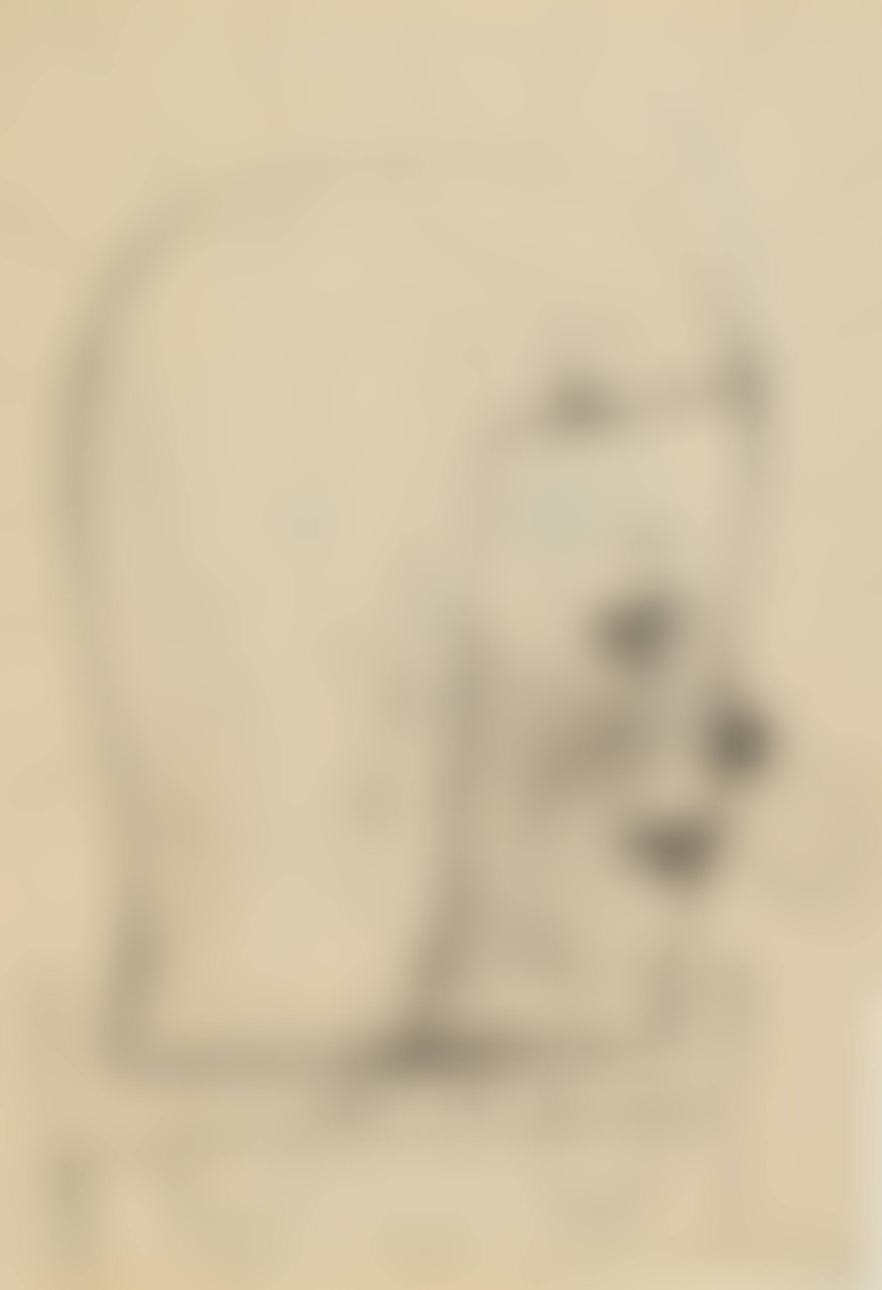 Sketches for the Sculpture (preview)