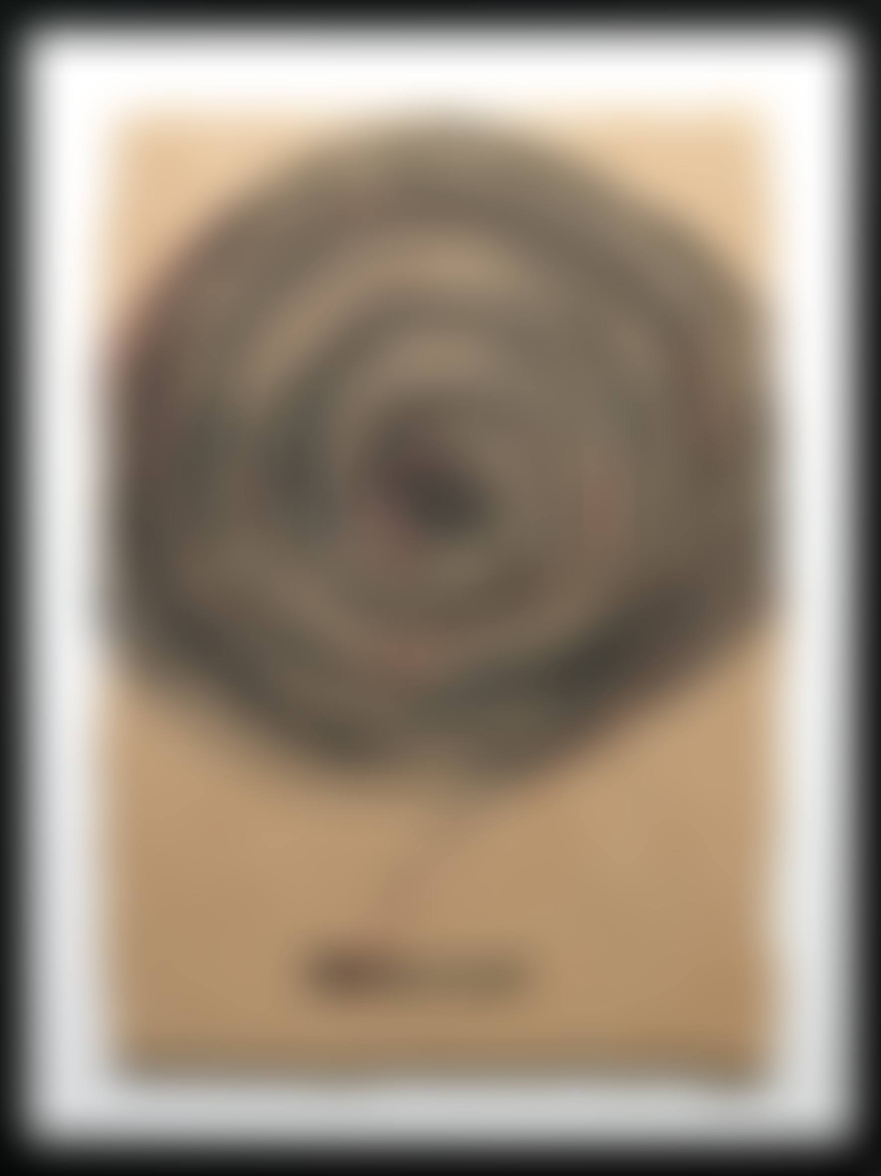 Connection (preview)
