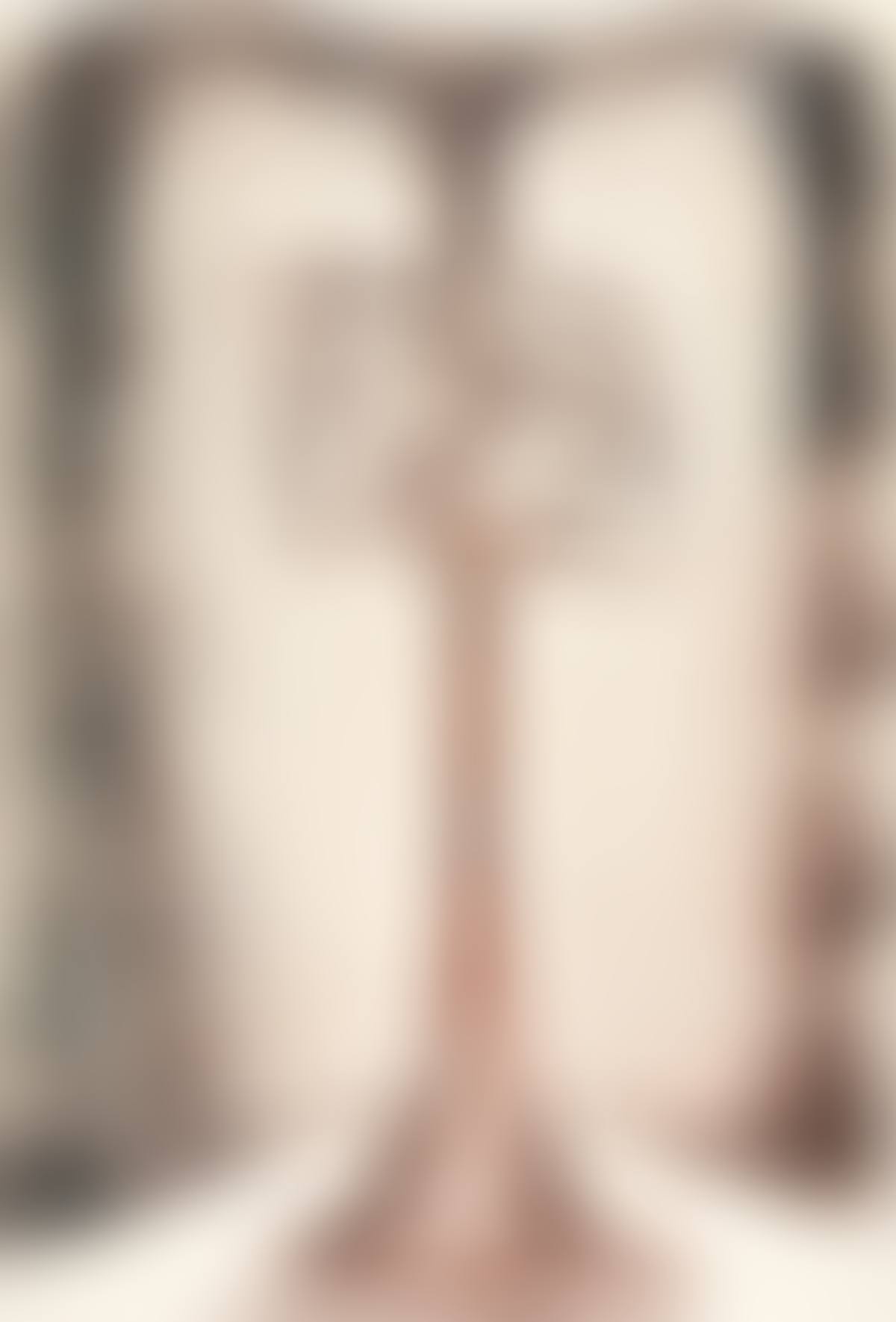 Untitled (preview)