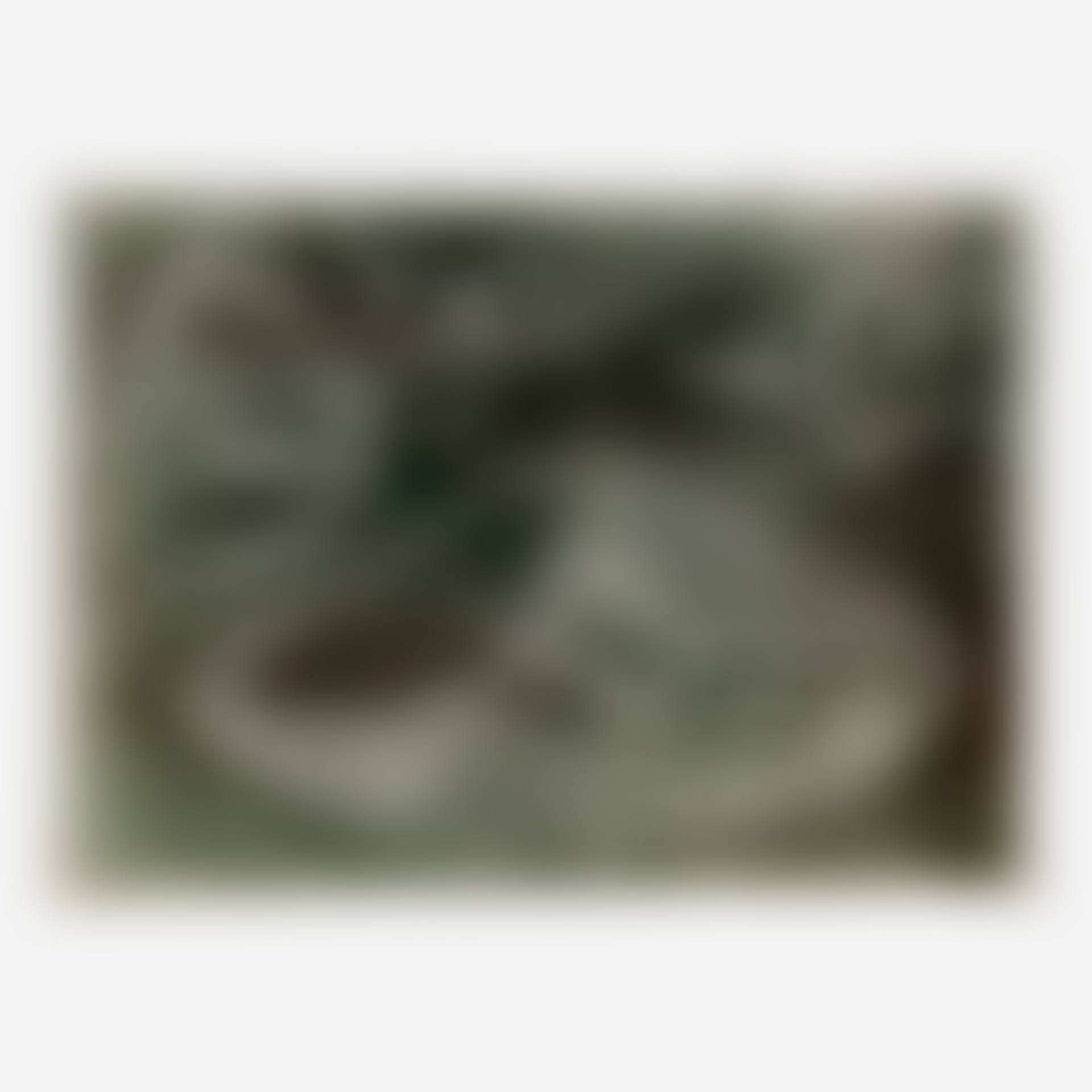Untitled (Monotype) (preview)