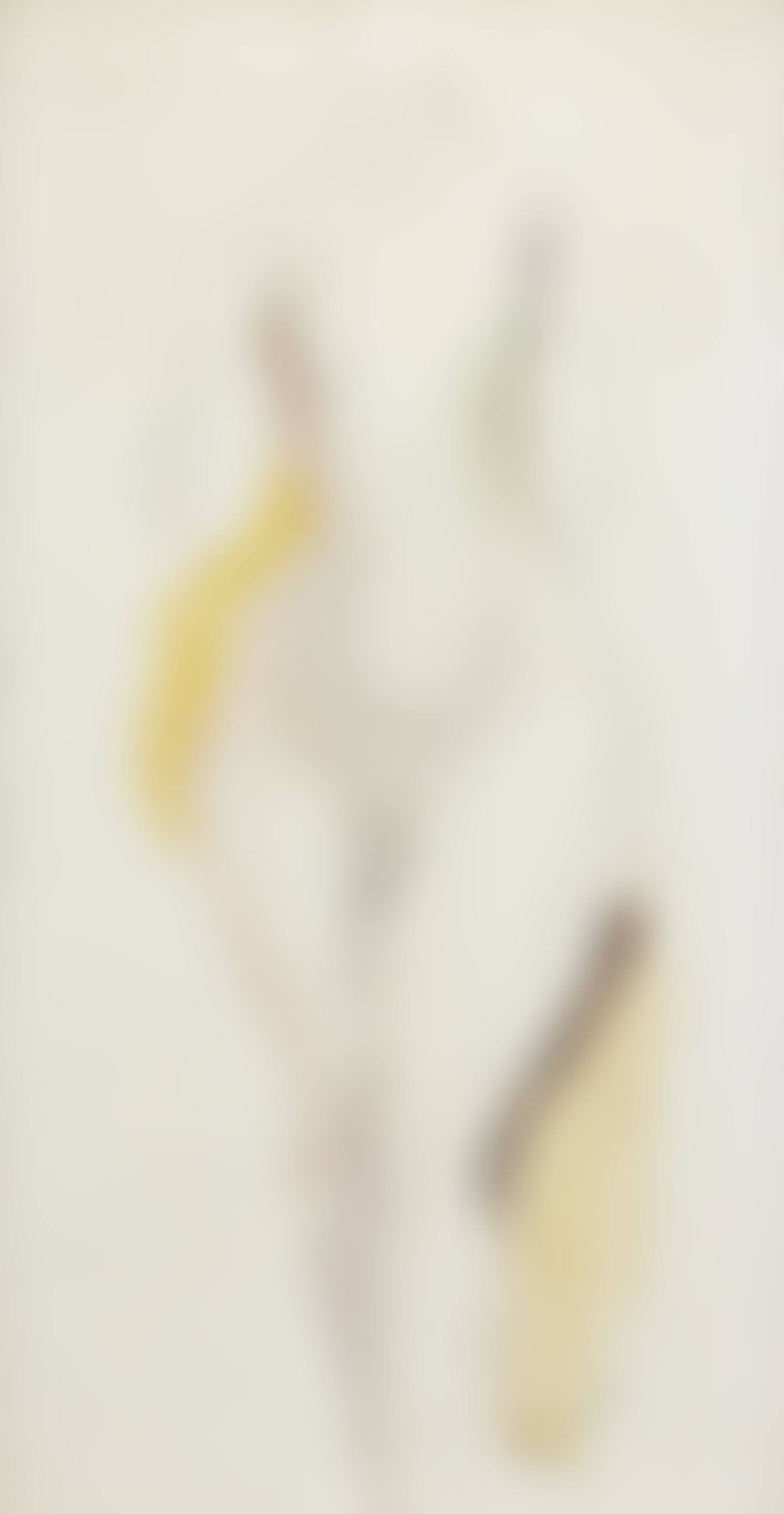 Female Nude (preview)