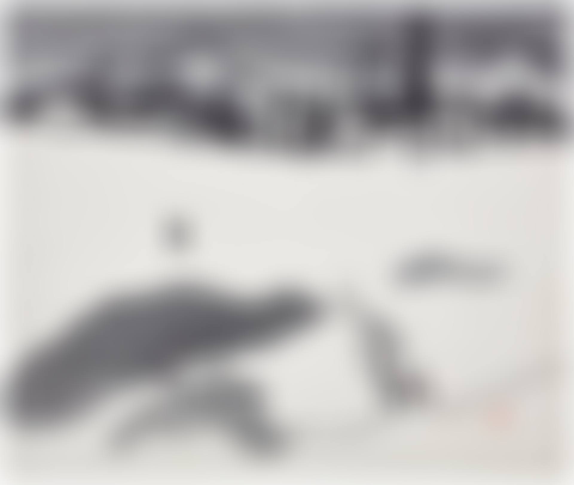 Winter in Aizu (preview)