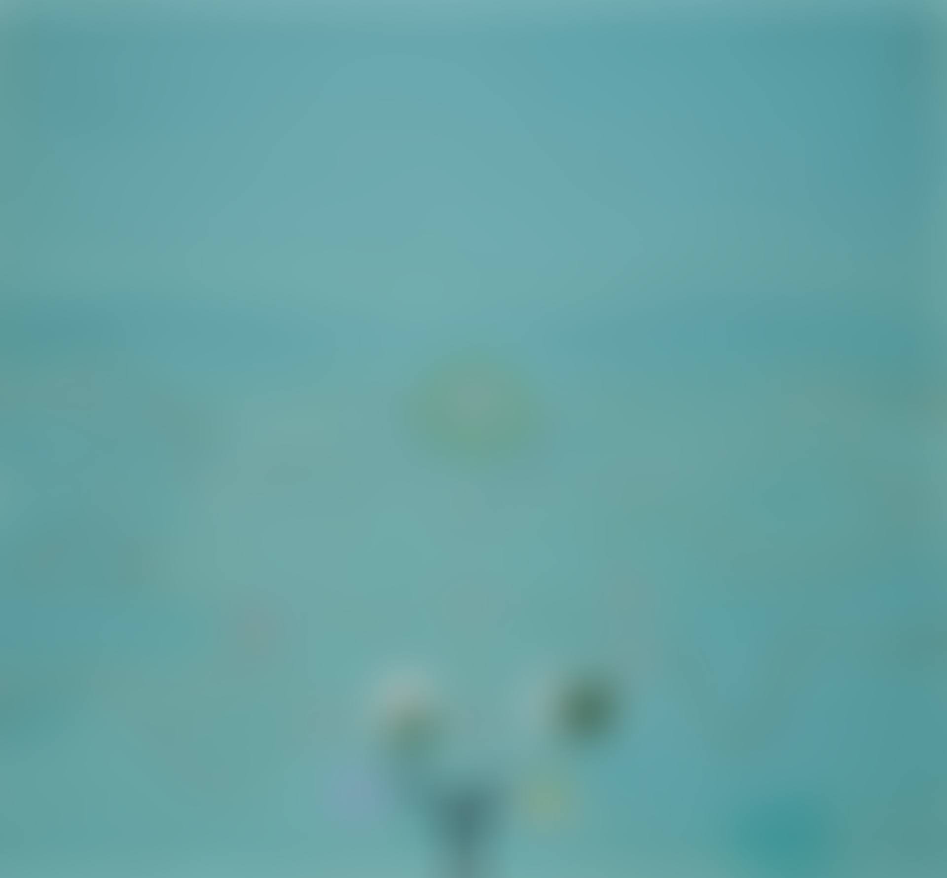 The Silent Sky (preview)