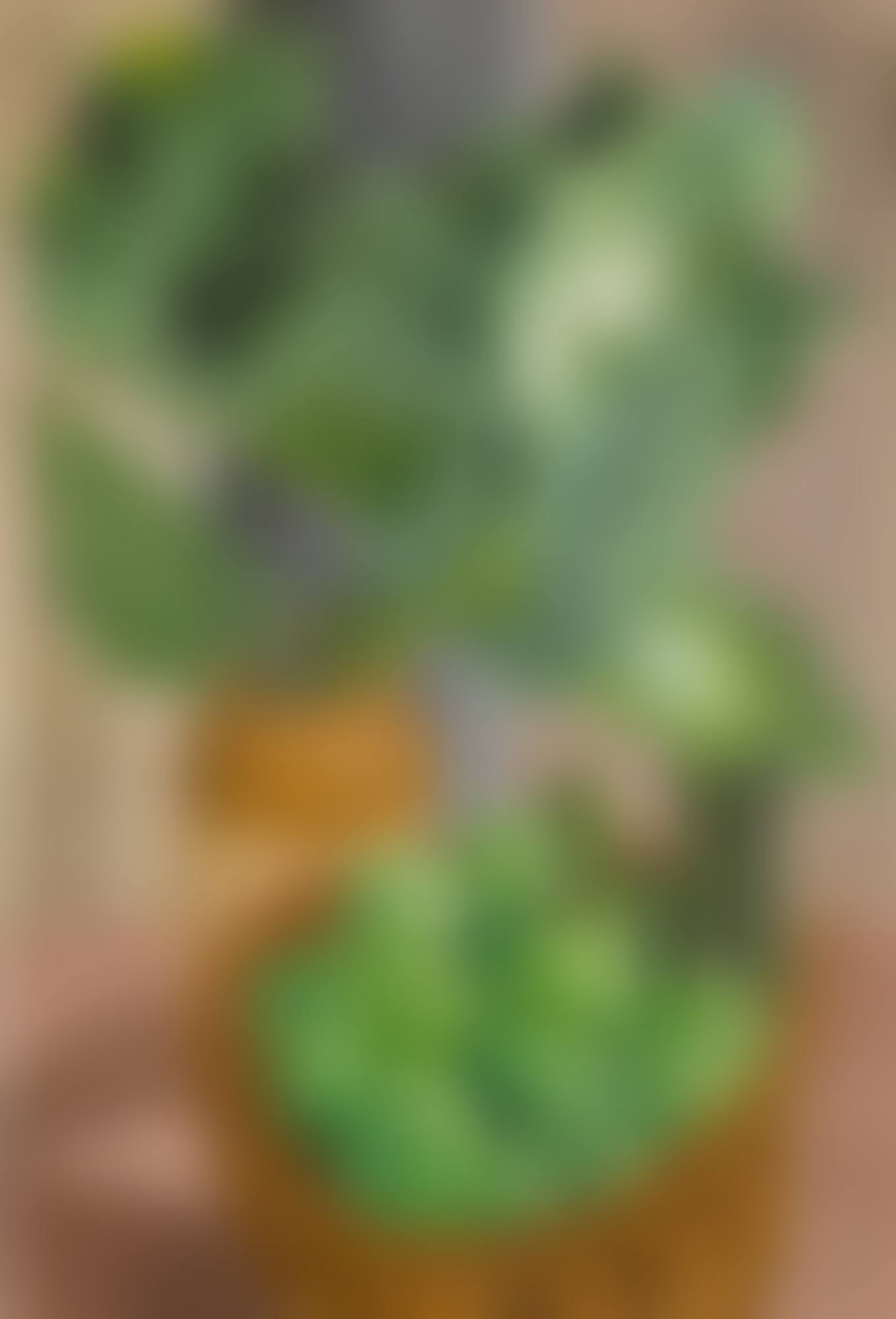 Still Life Essay in Green (preview)
