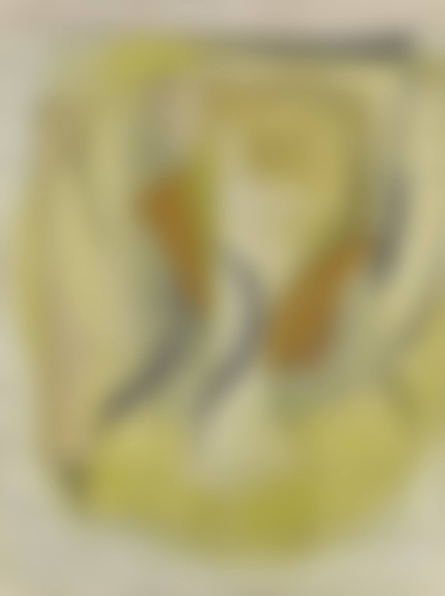 aug 14-50 (2) : still life (linear) (preview)