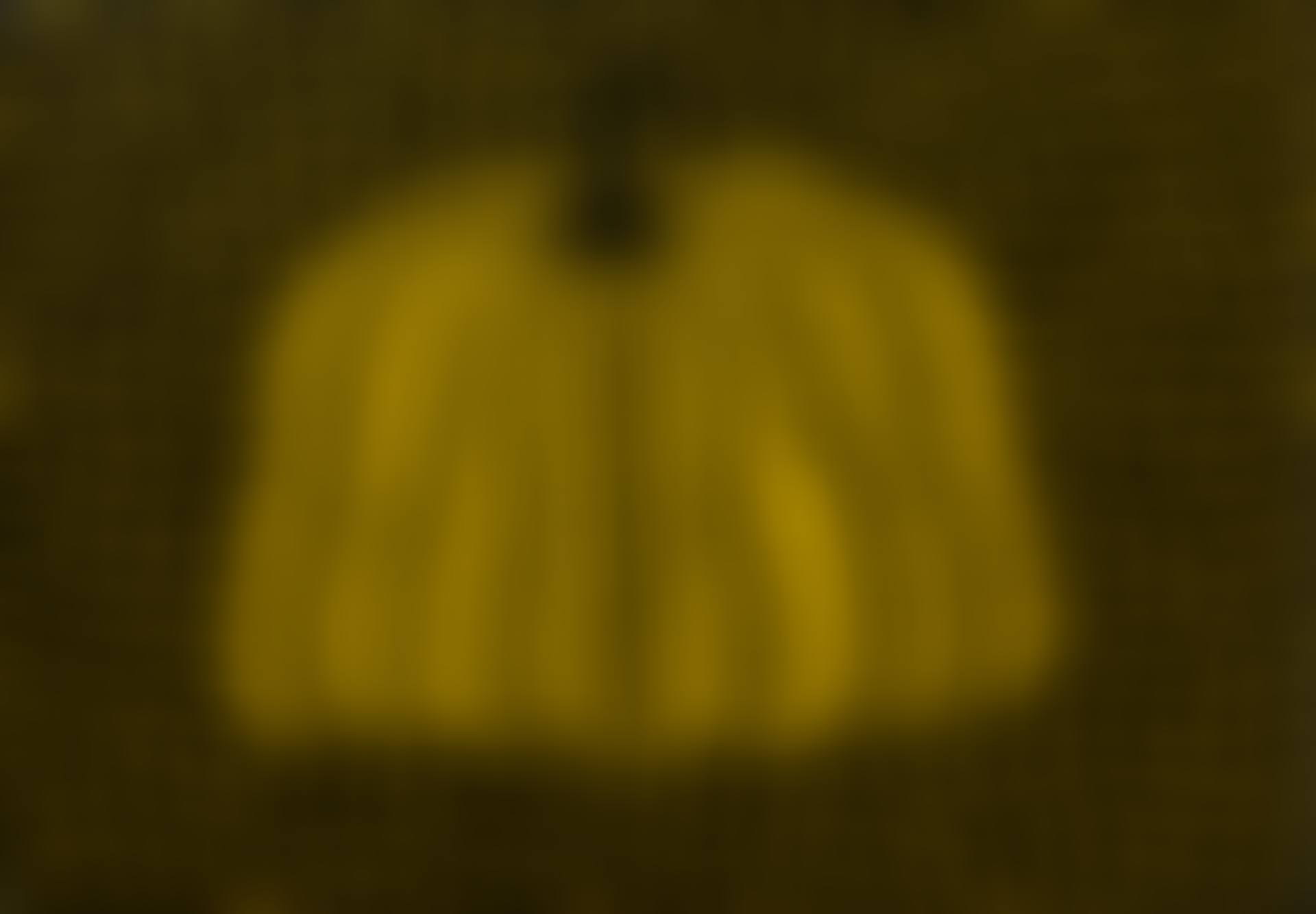 Pumpkin (preview)