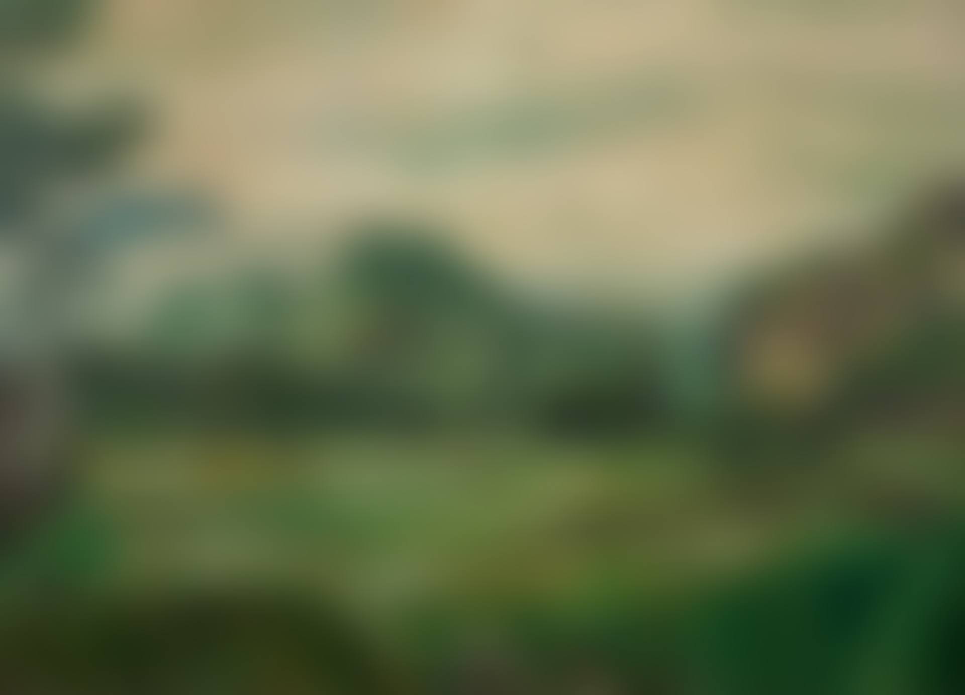 Gunung Massigit, West Java (preview)