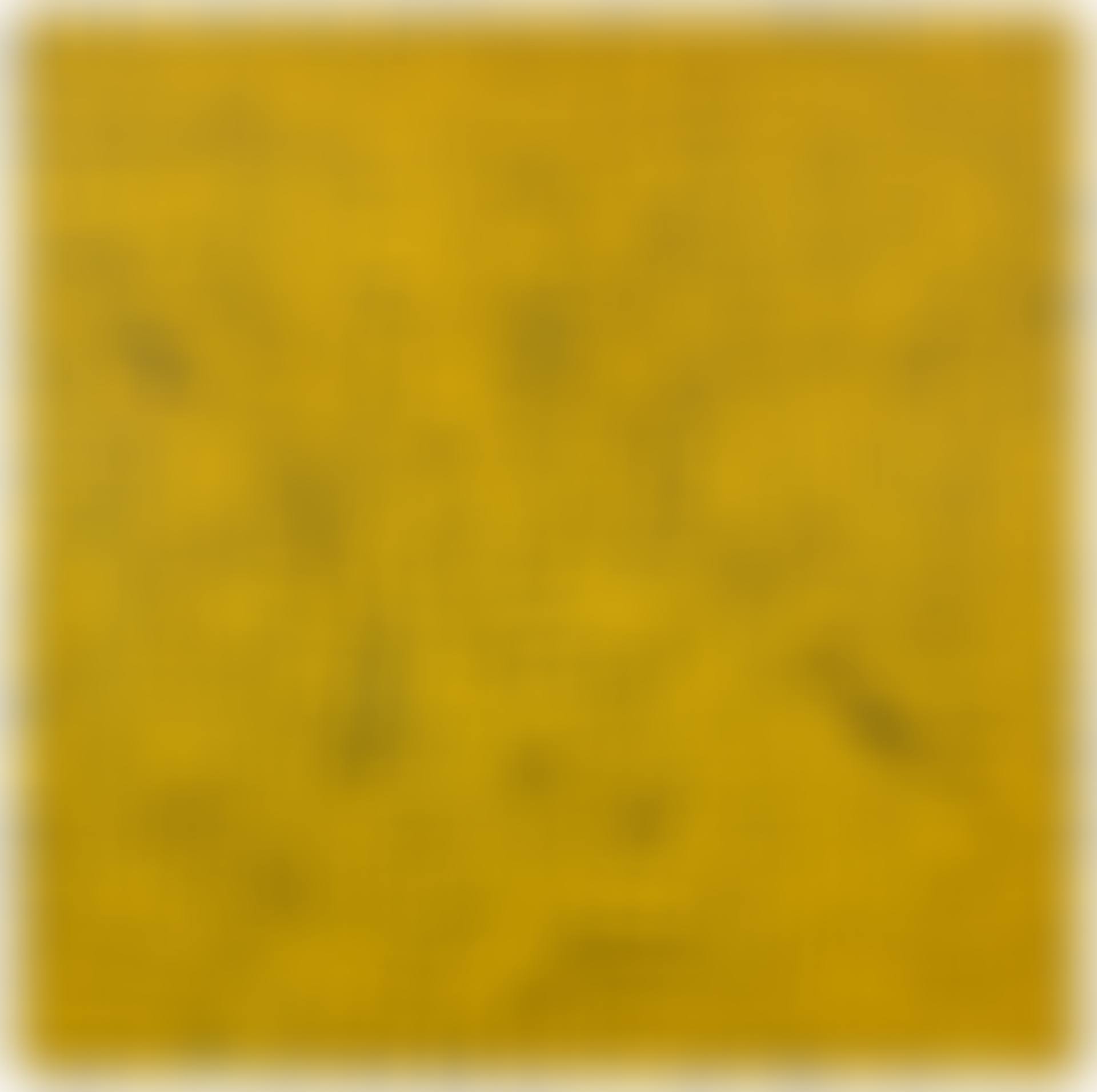 Dots Obsession (FOPMU) (preview)