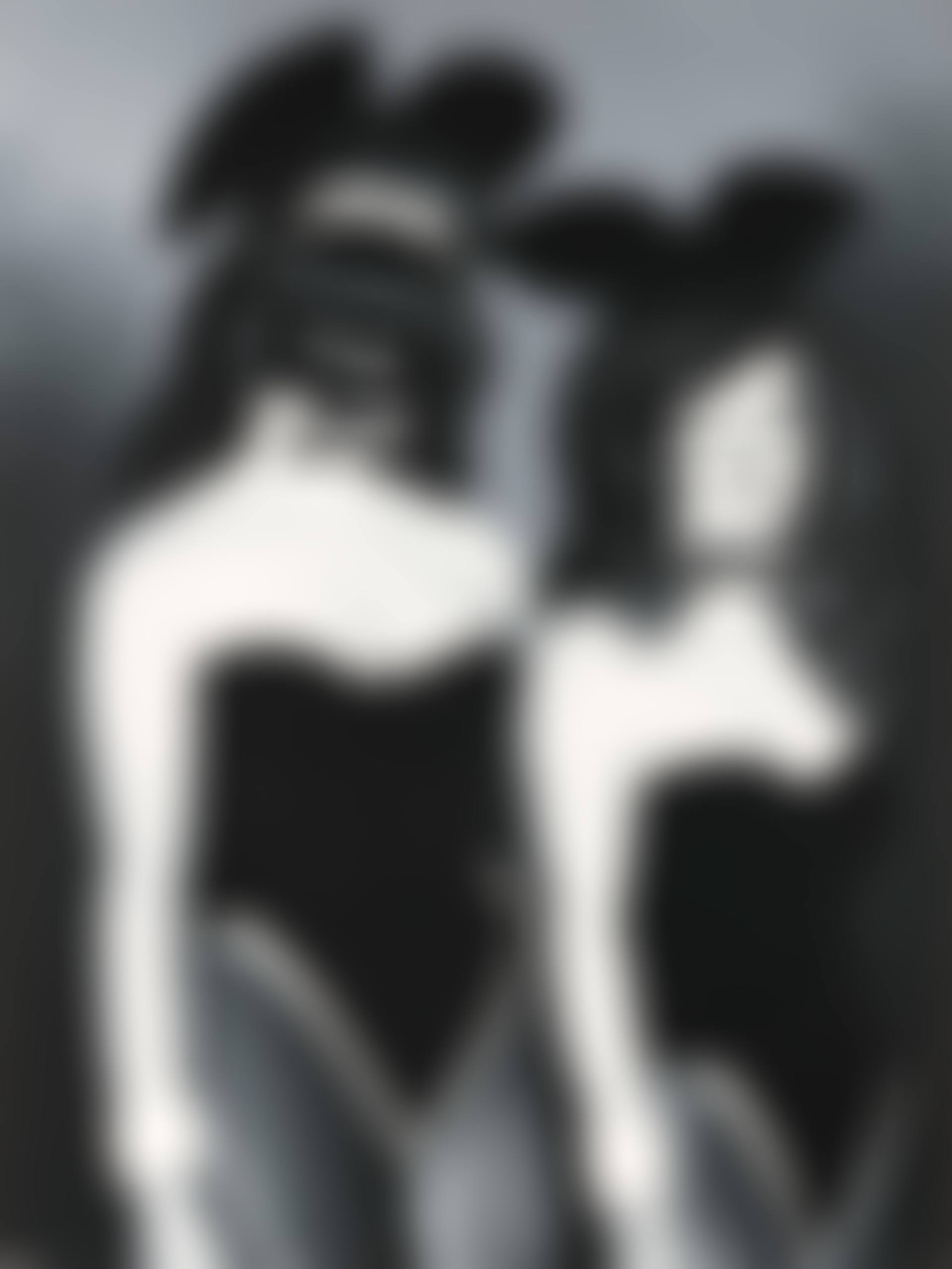 The Perfect Pair (preview)