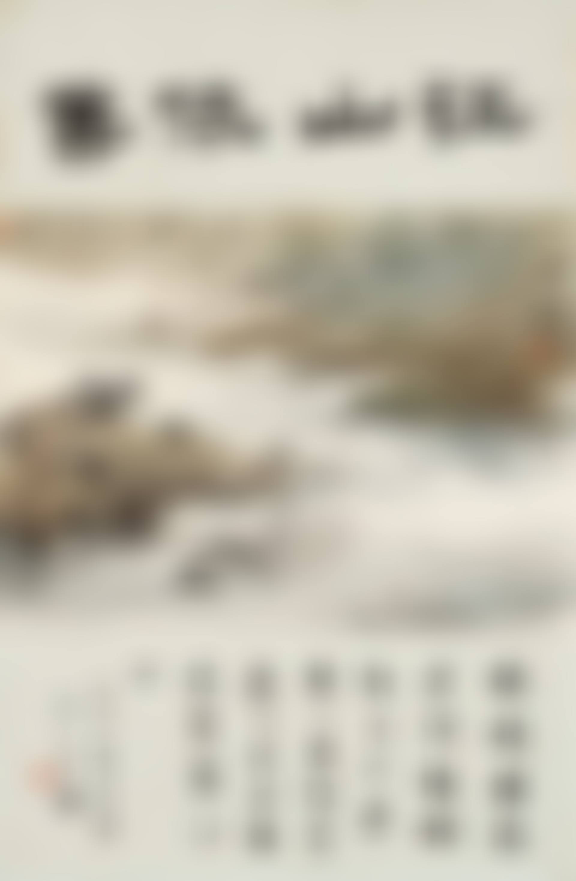 Landscape (preview)