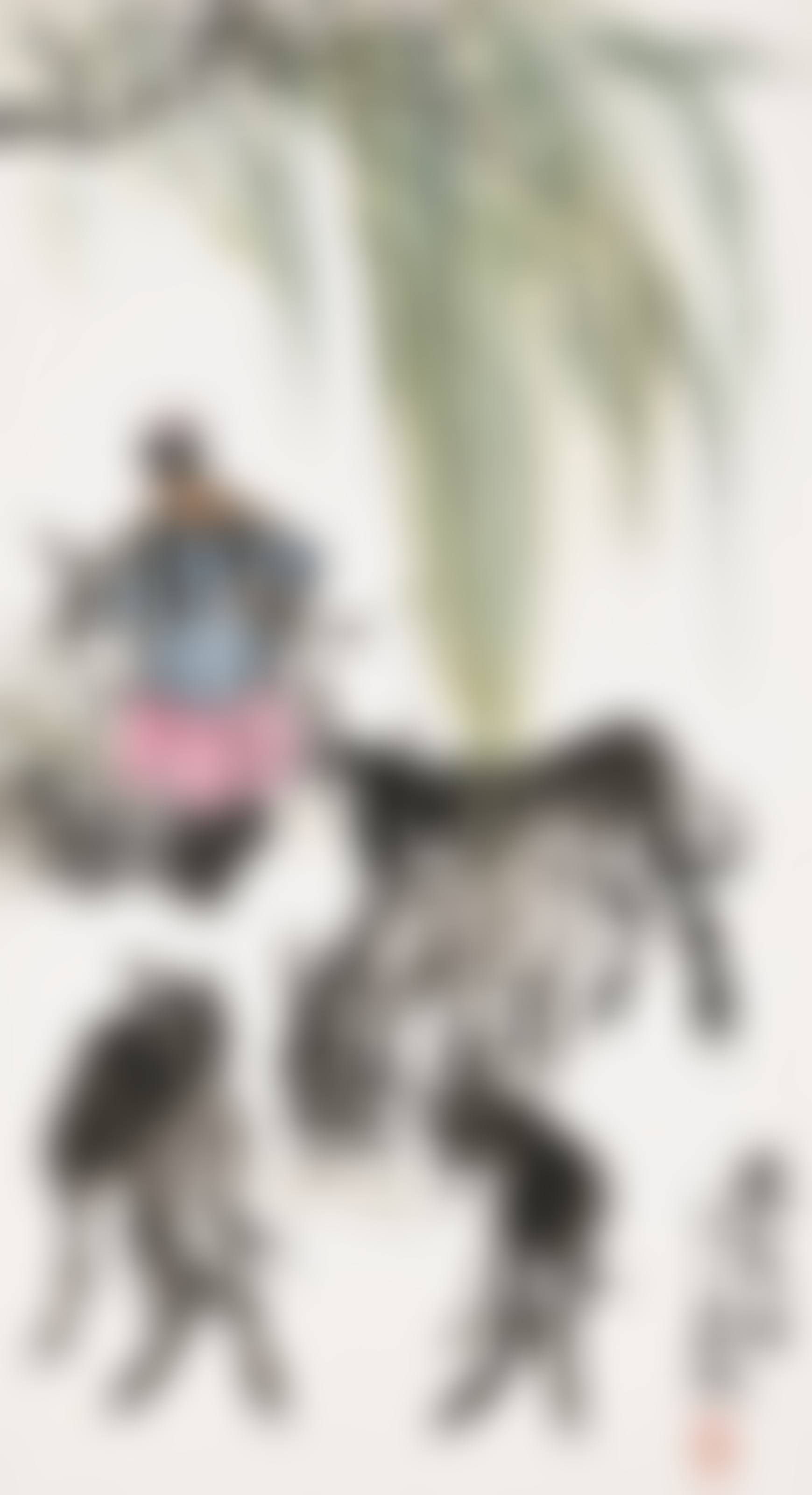 Donkeys under Willows (preview)