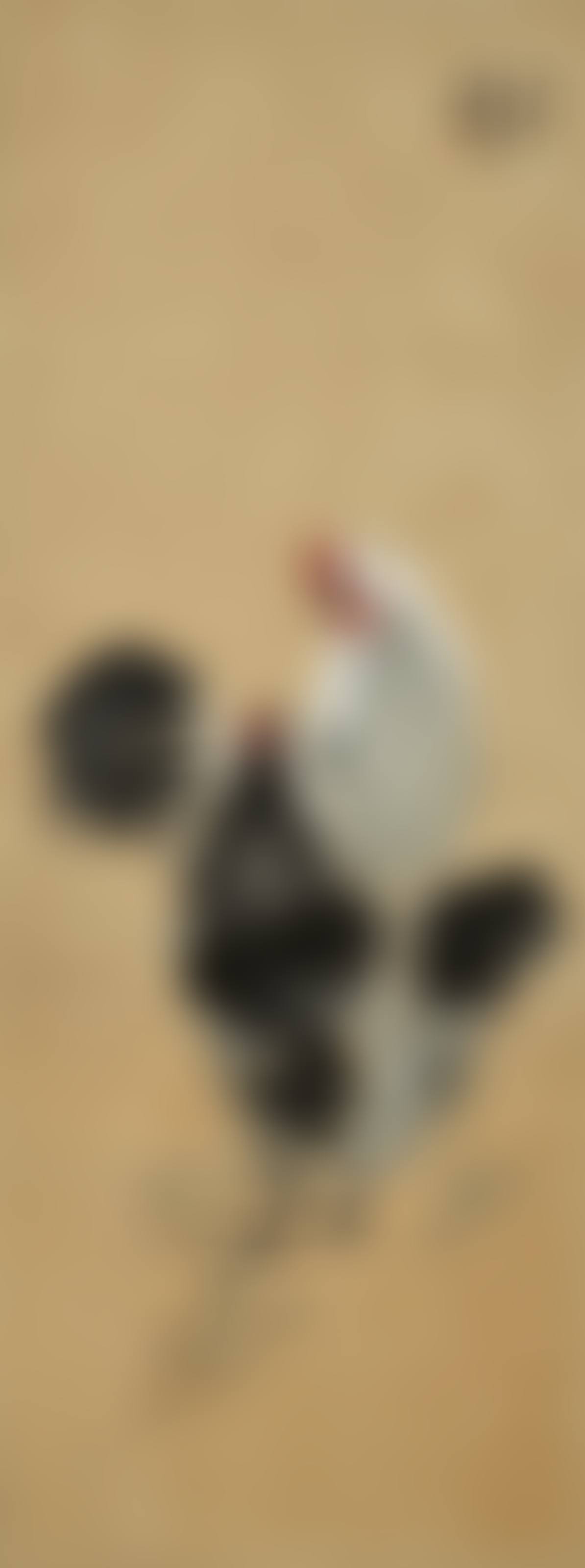Two Chickens (preview)