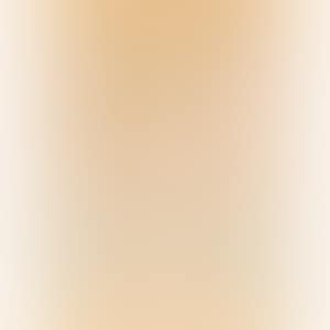 FEMME A LA CRAVATE ROSE (preview)