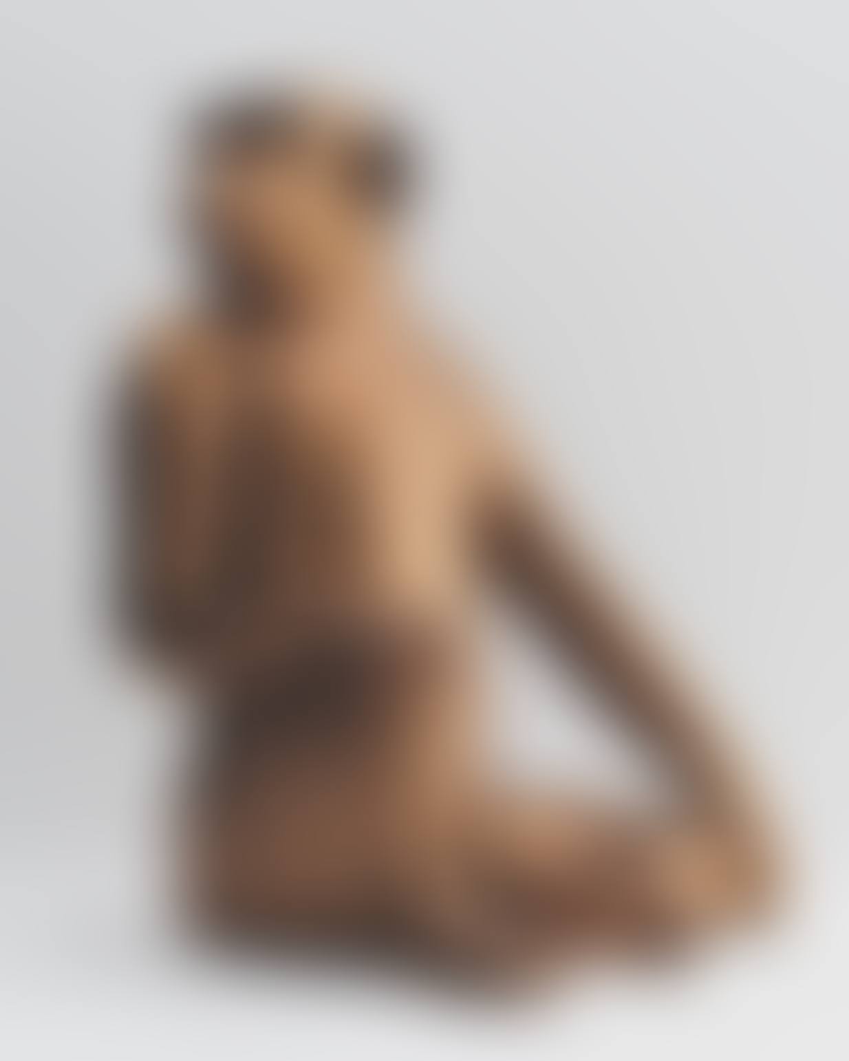 SINGE AVISÉ (MOYEN) (preview)