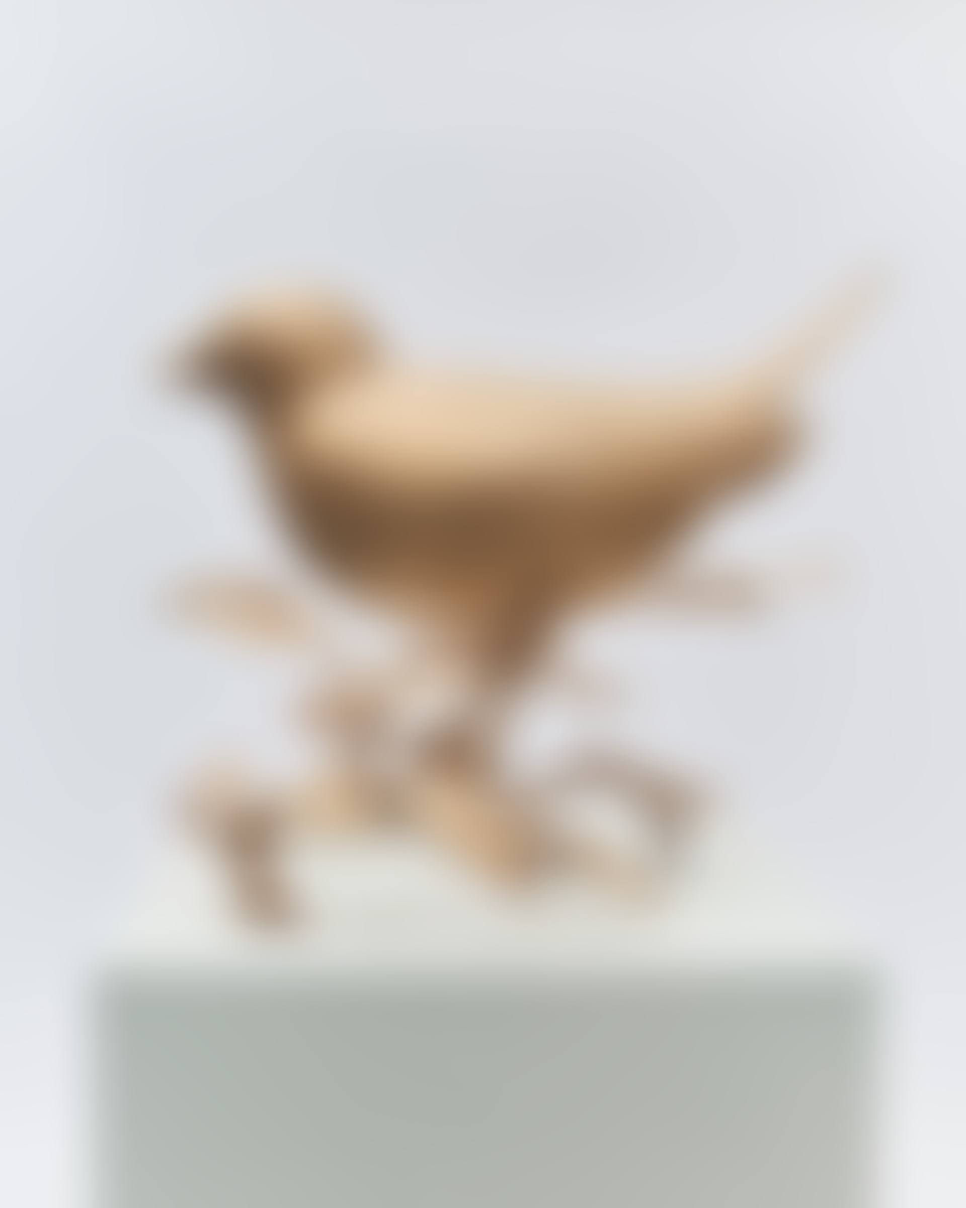 LE GRAND OISEAU DE PETER BRANCHÉ (preview)