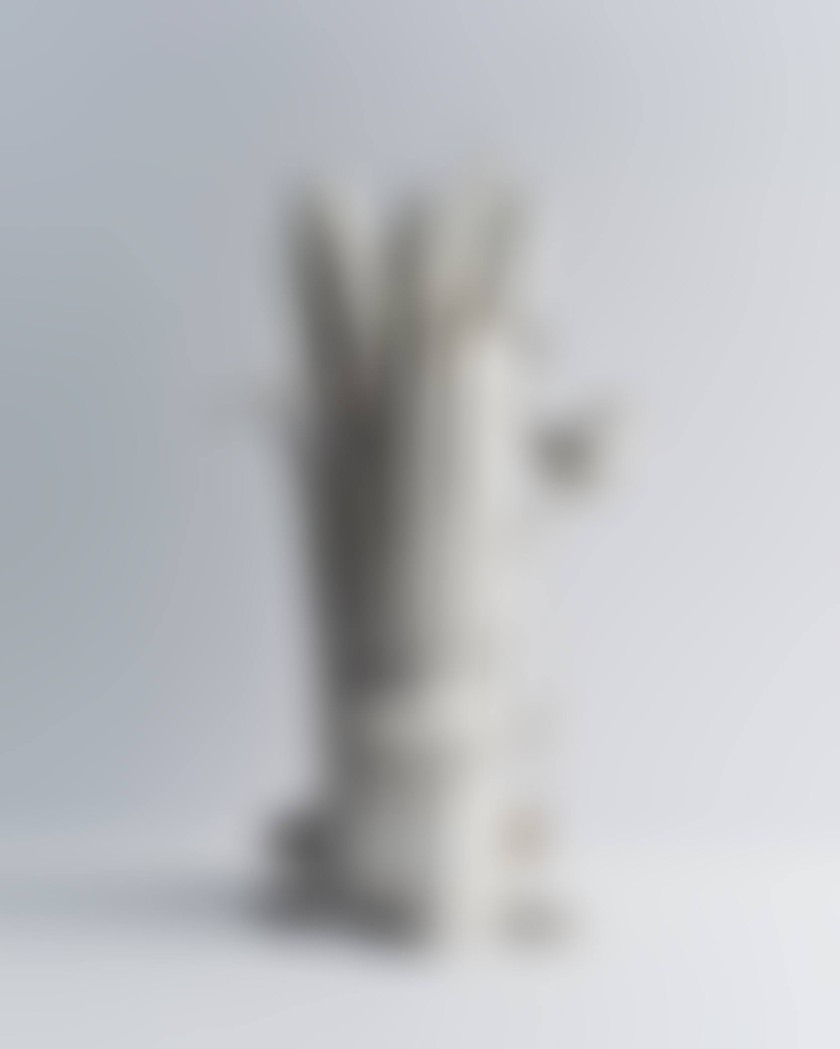HISTOIRES NATURELLES, GRAND VASE ROSEAUX ROND (preview)