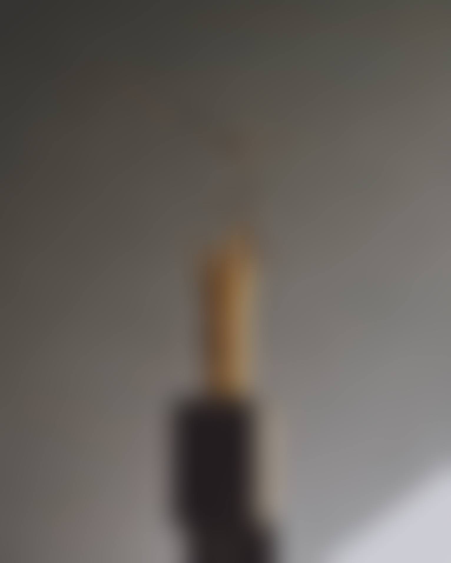 ROSEAUX À L'ANGUILLE VASE (preview)