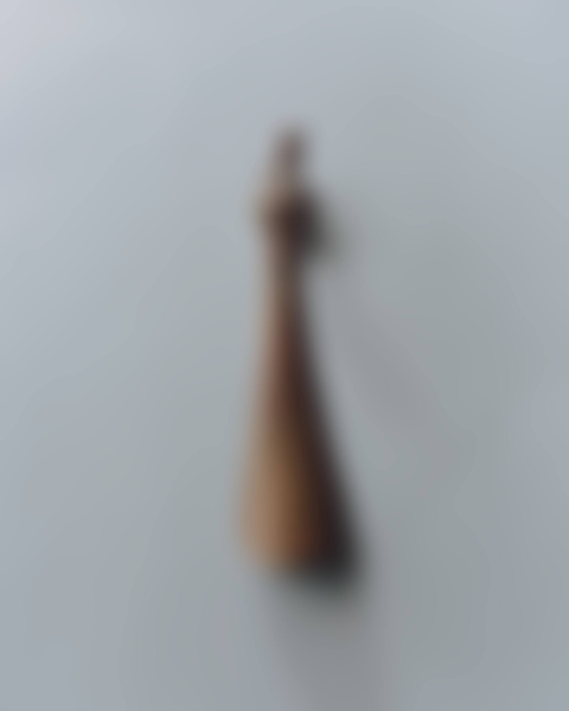 PETIT ESCARGOT SHOE HORN (preview)