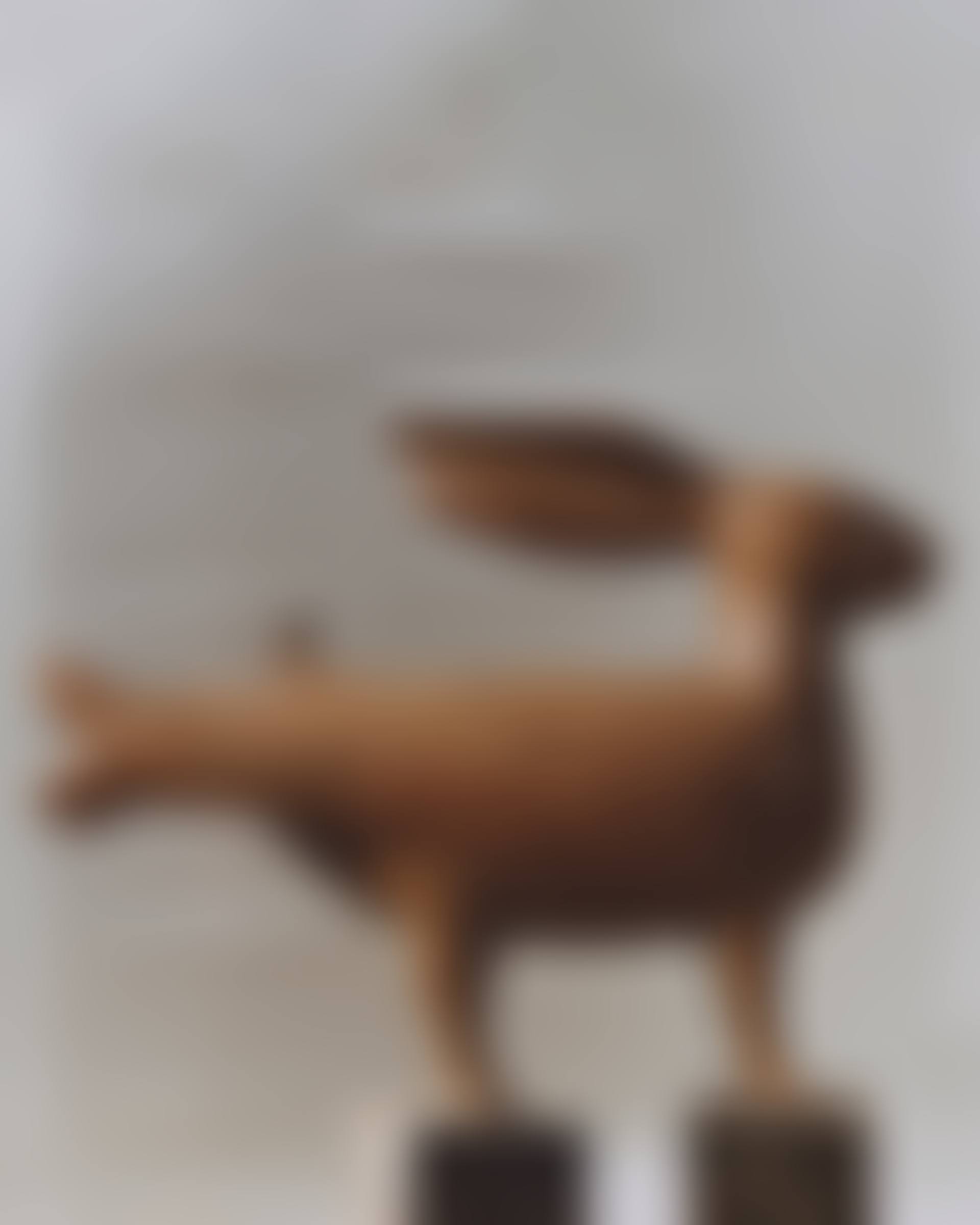 LAPIN POLYMORPHE (MOYEN) (preview)