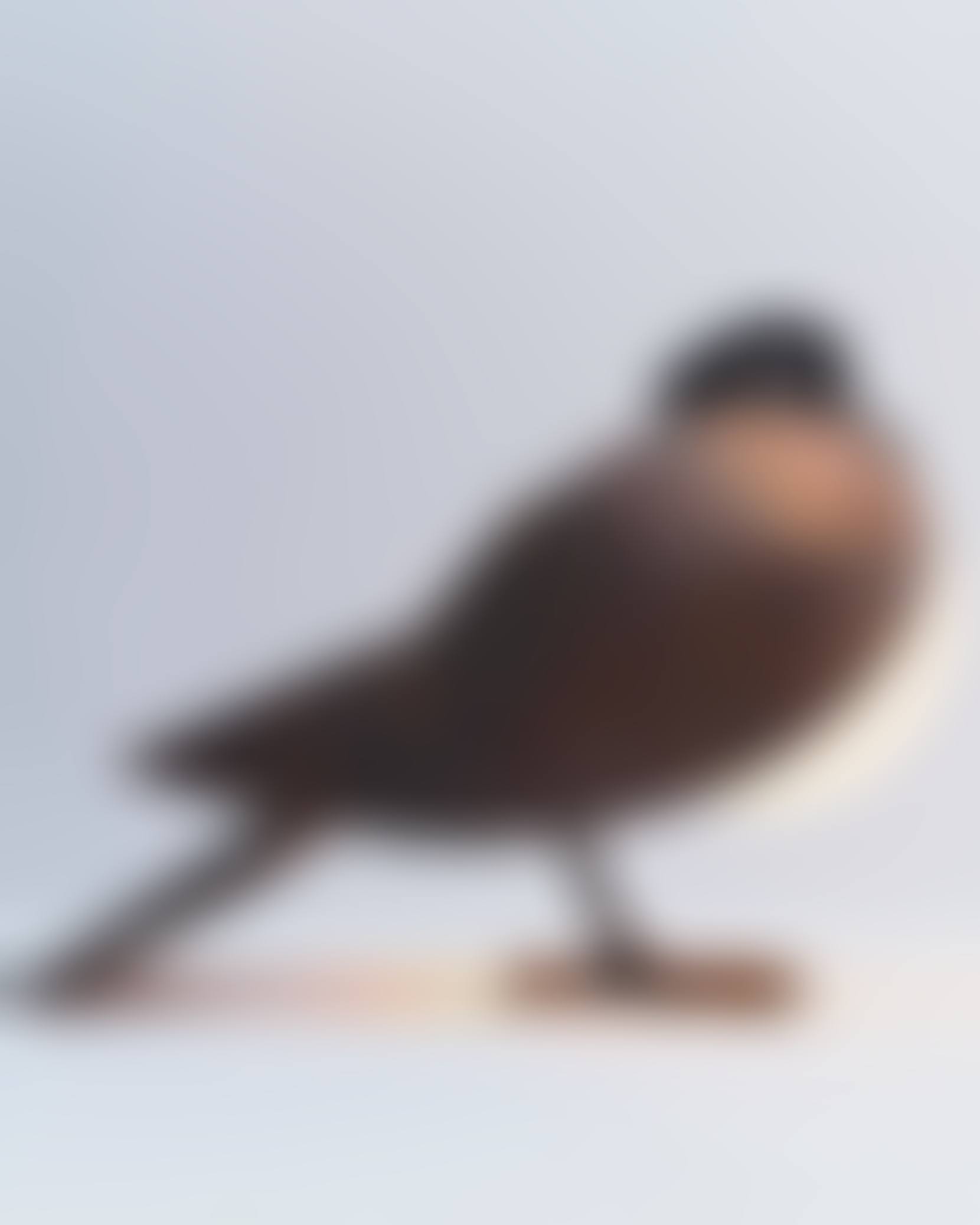 PIGEON TABLE LAMP (preview)