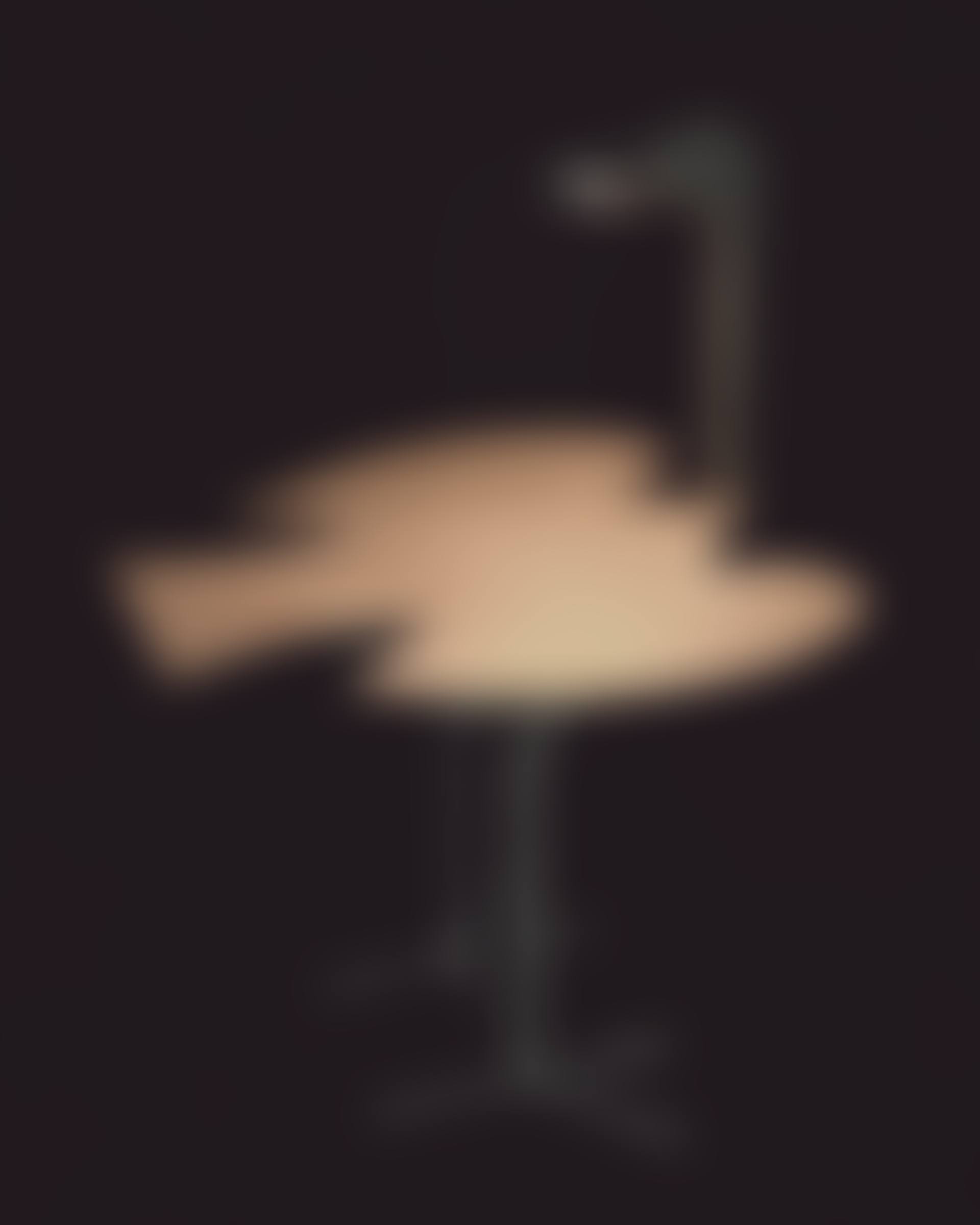 OISEAU D'ARGENT ÉCLAIRANT UNE TABLE (preview)