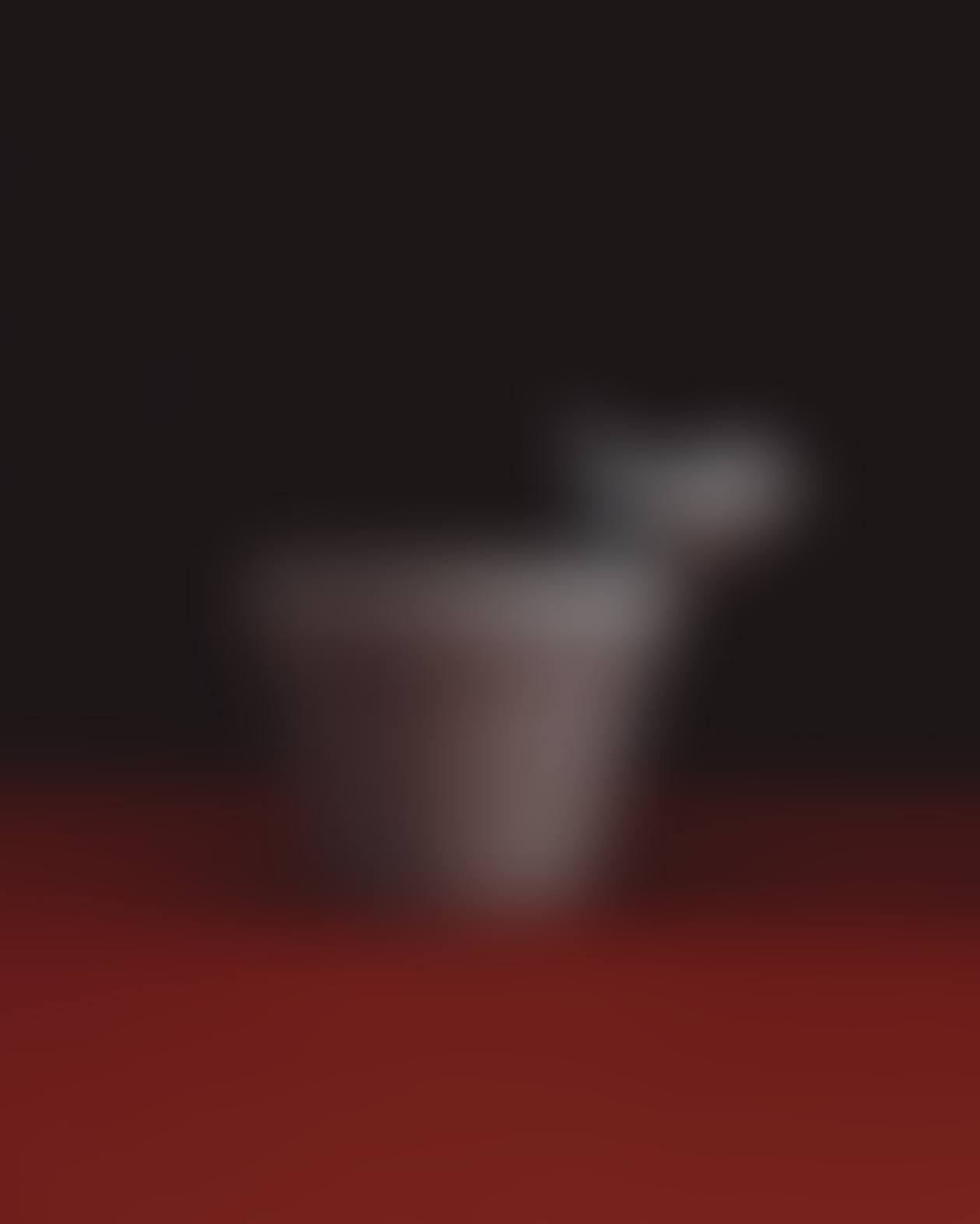 OISEAU DE BAGATELLE CACHE-POT (preview)