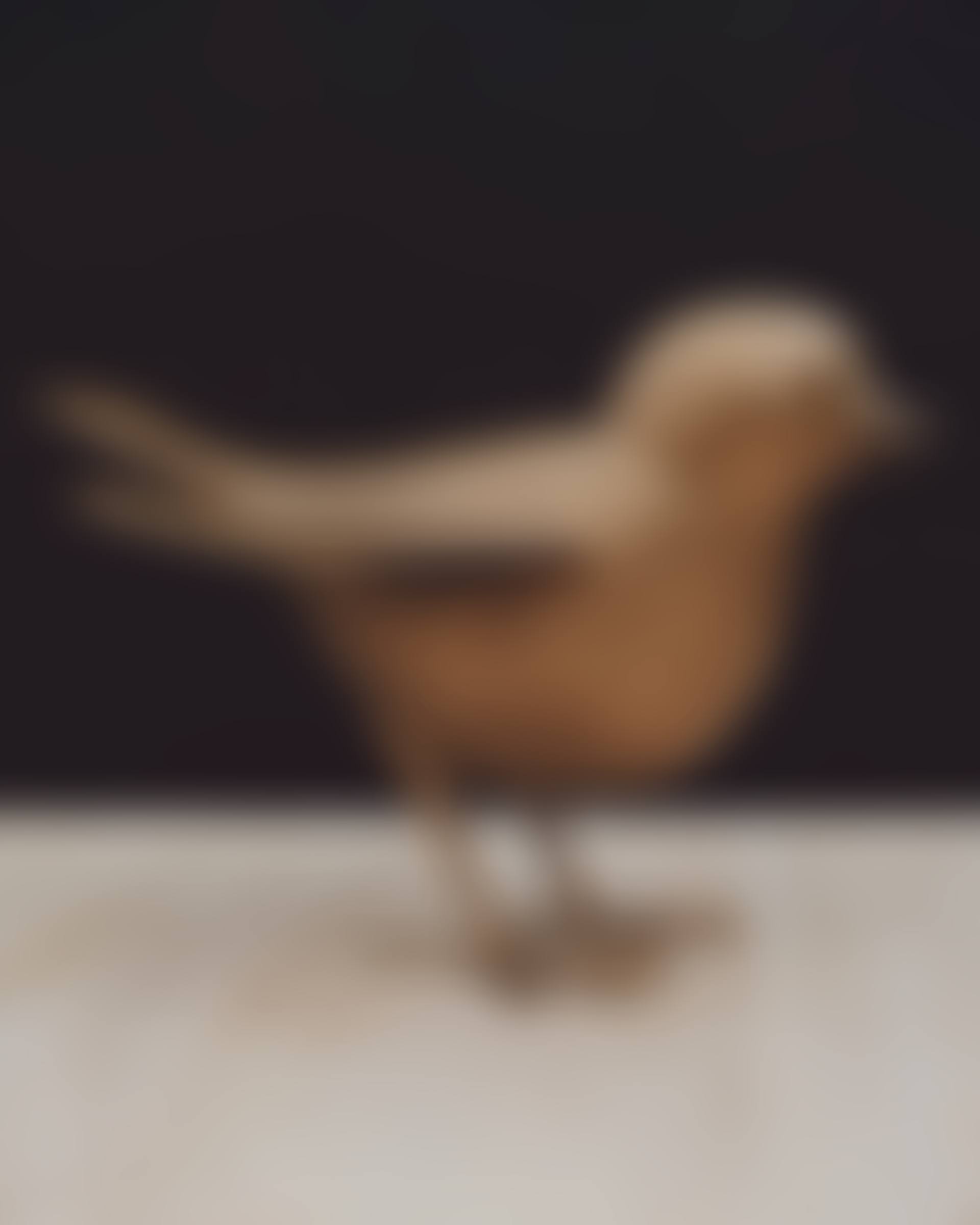 OISEAU DE JARDIN III A (preview)