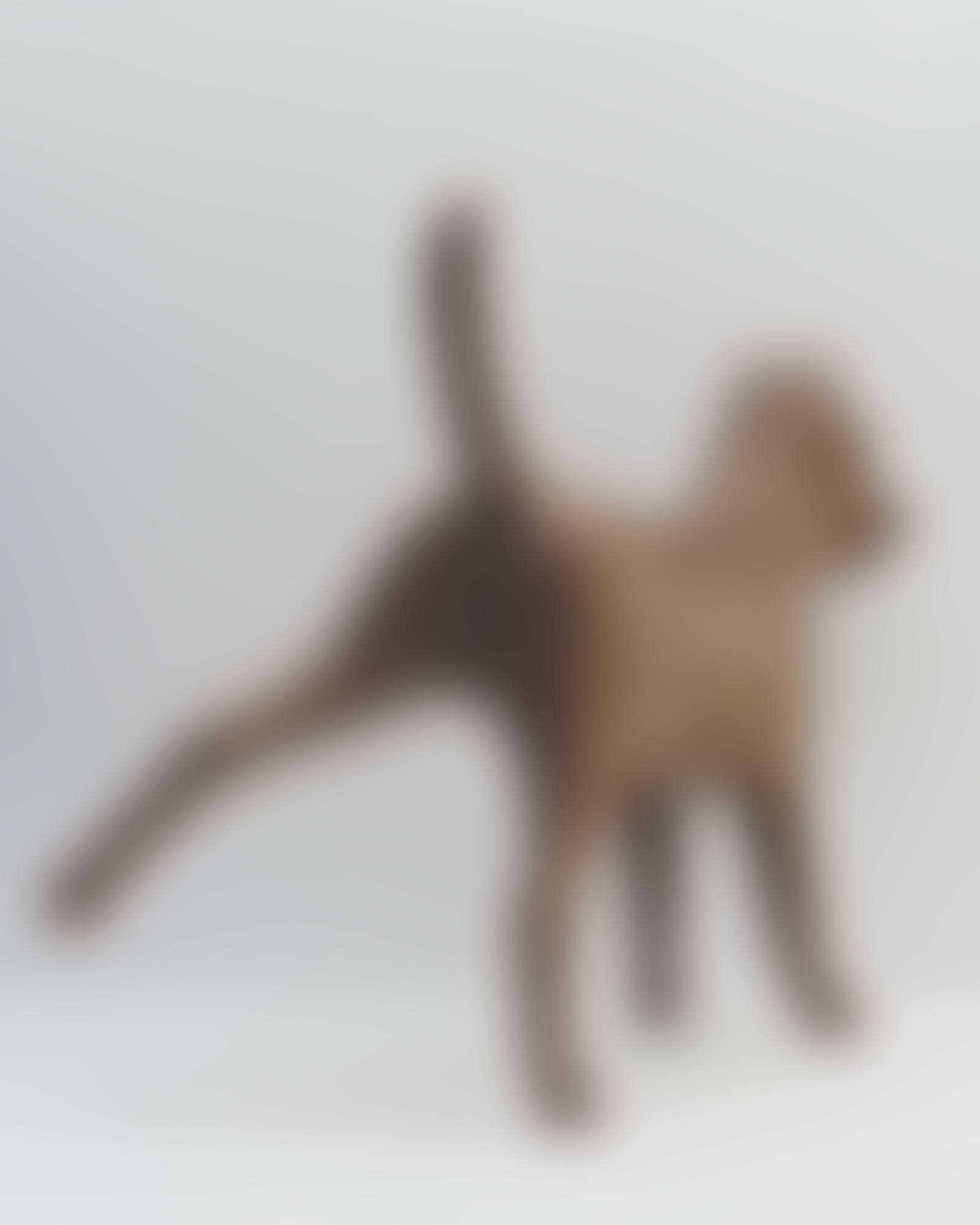 PETIT CHIEN PROSAÏQUE CONTRARIÉ II, 2008 (preview)
