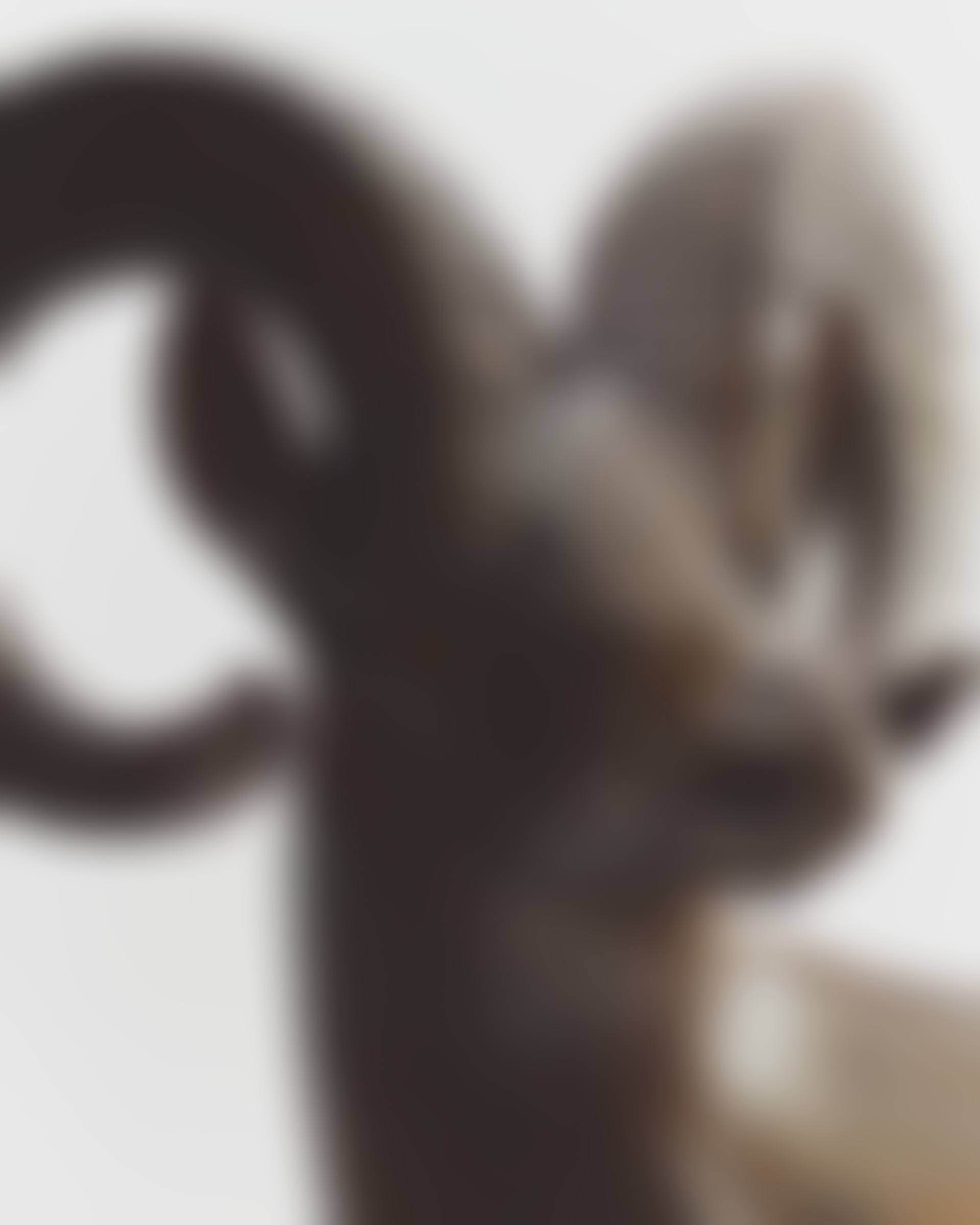 GRAND MOUFLON DE RAM ISLAND (preview)