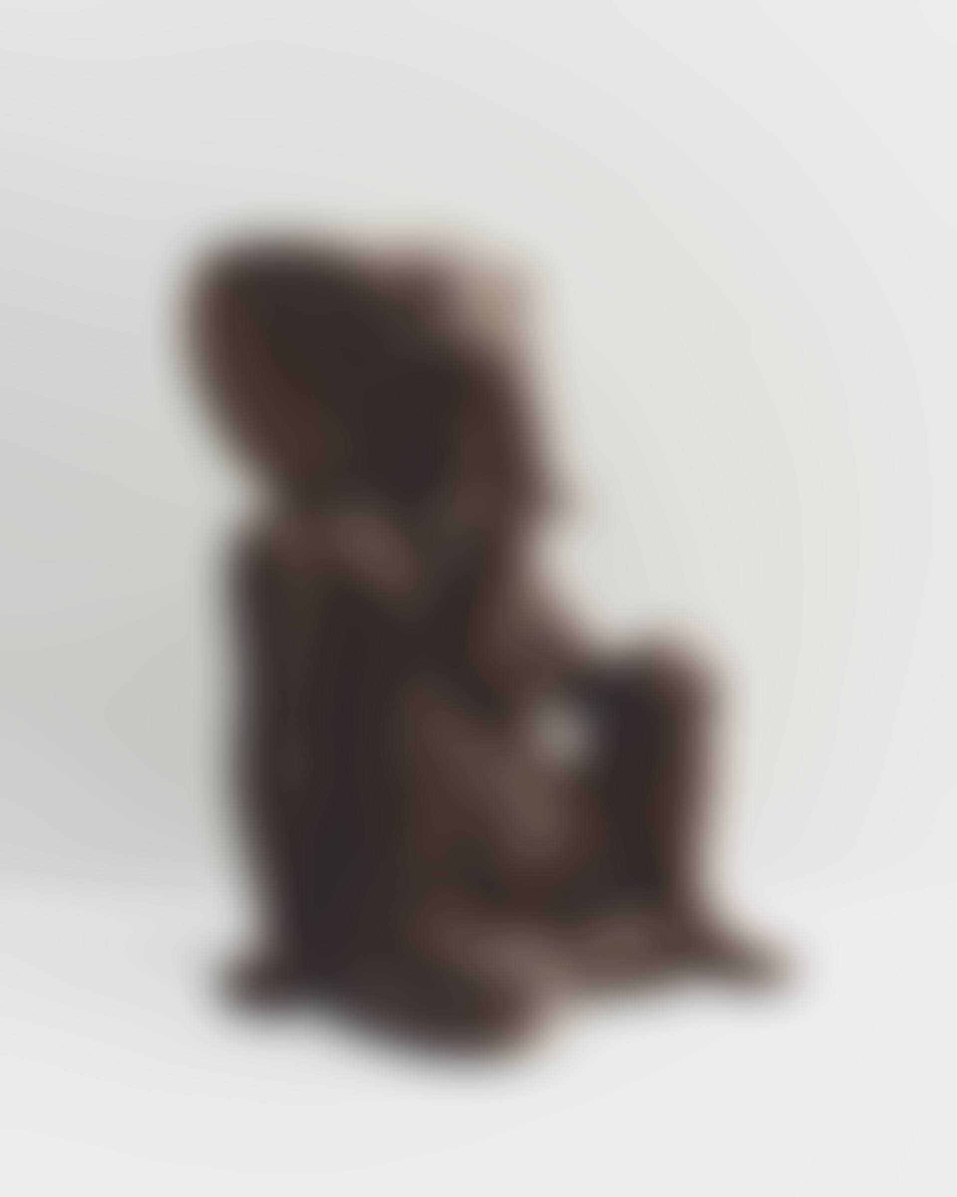 GANESH (preview)