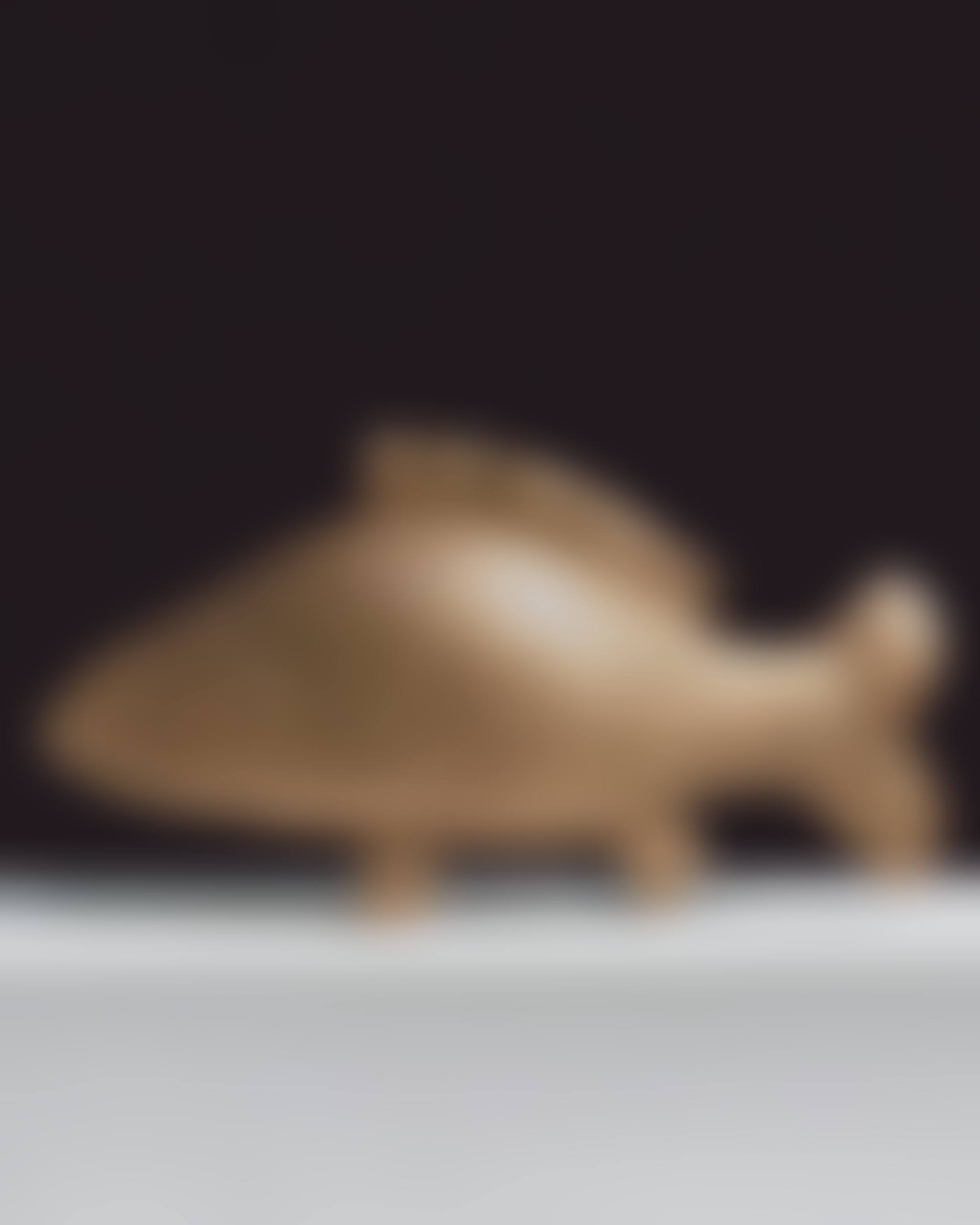 GRANDE CARPE (preview)